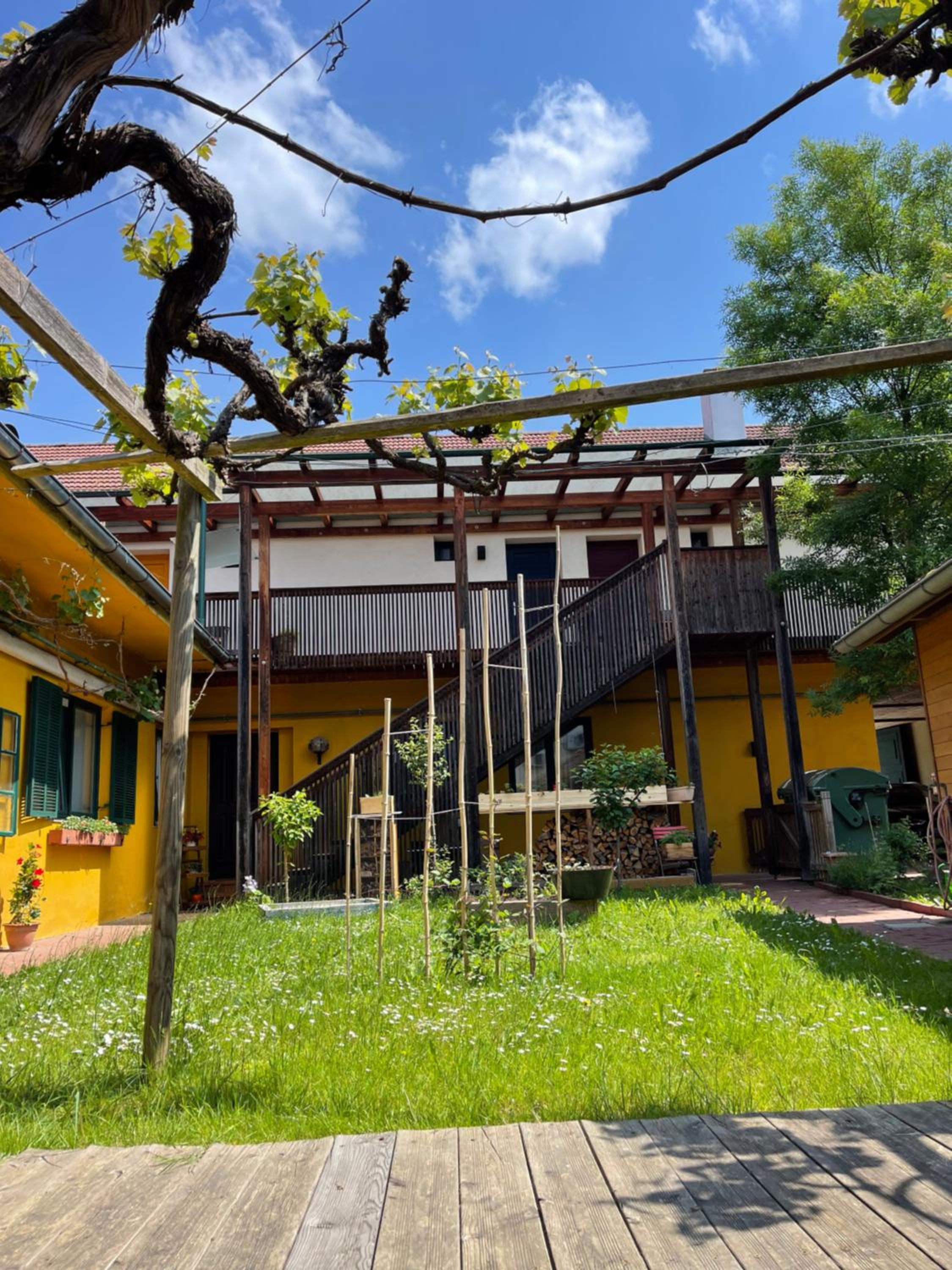 Bed & Breakfast Zum Alten Weinstock