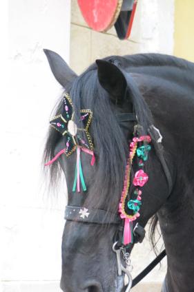 LUCKY Grazioso appartamento vista mare