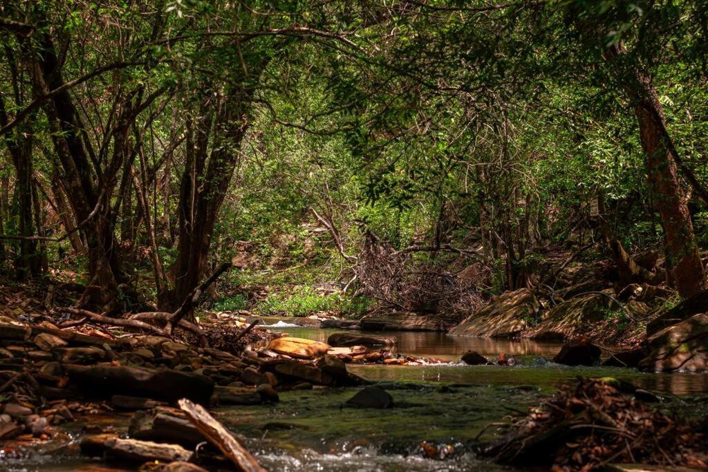Chácara e Cabana Rio das Almas, paz e natureza!