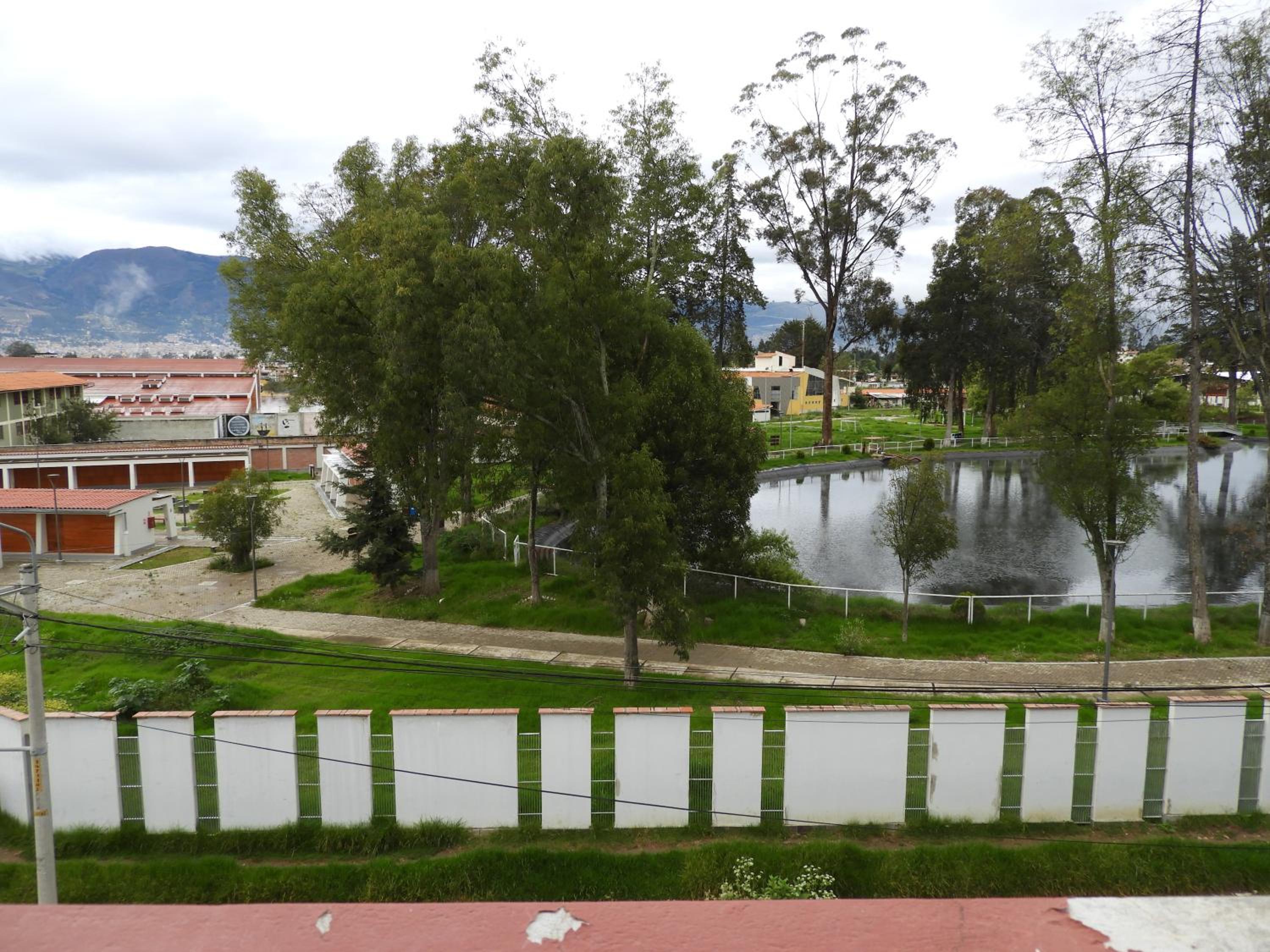 Photo 45