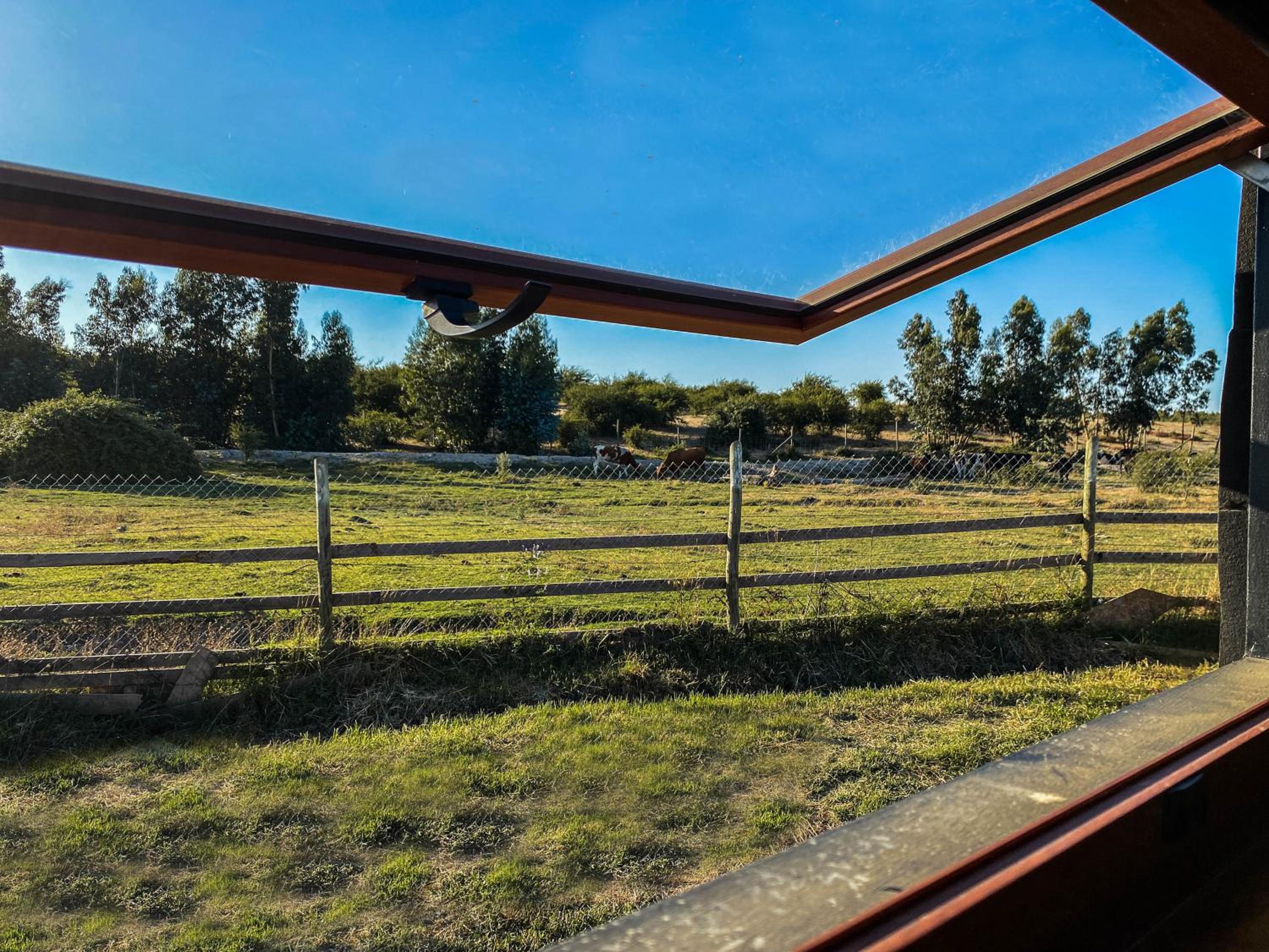 Domo ruta del vino Colchagua