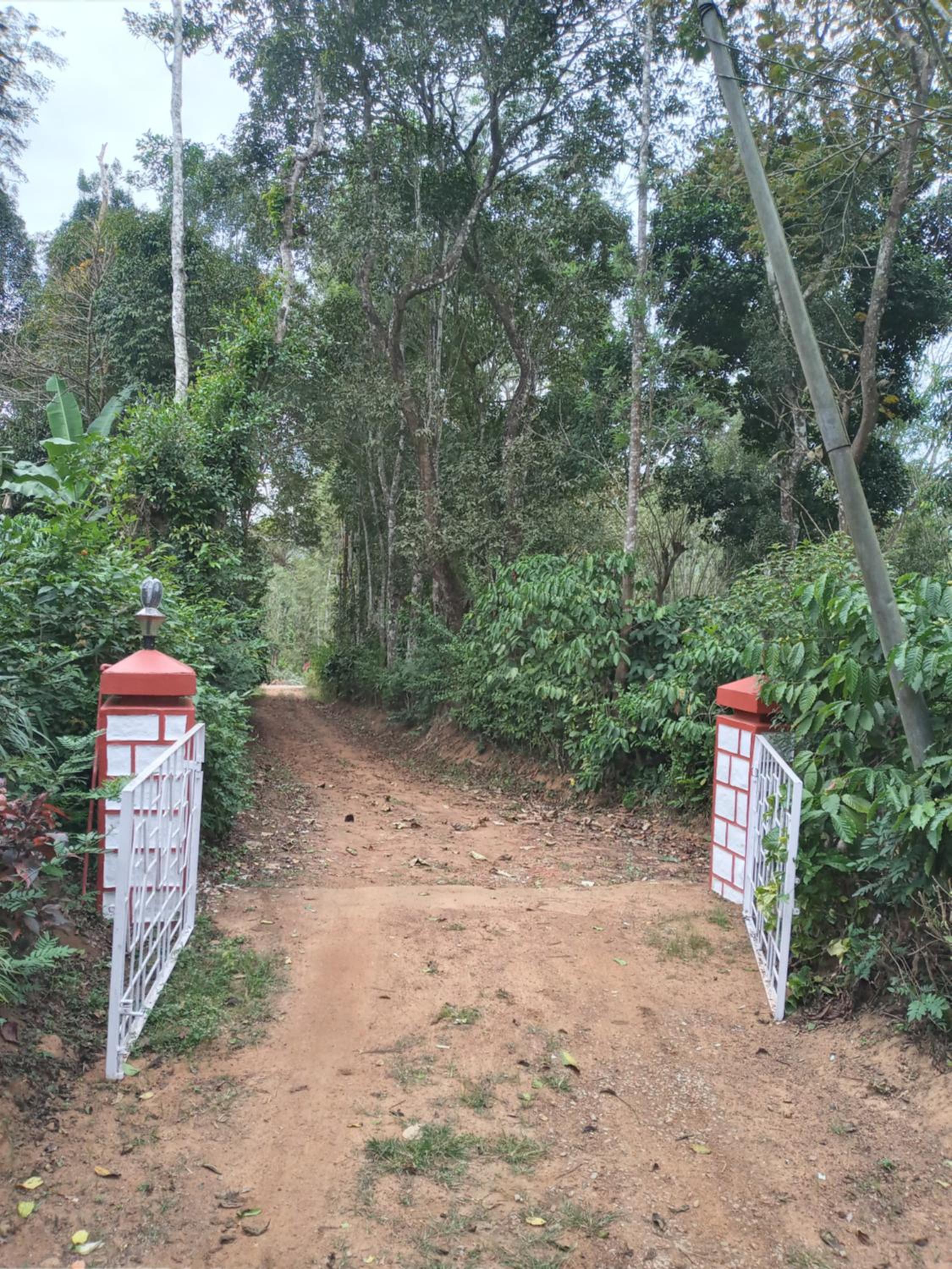 Coorg klusters estate stay