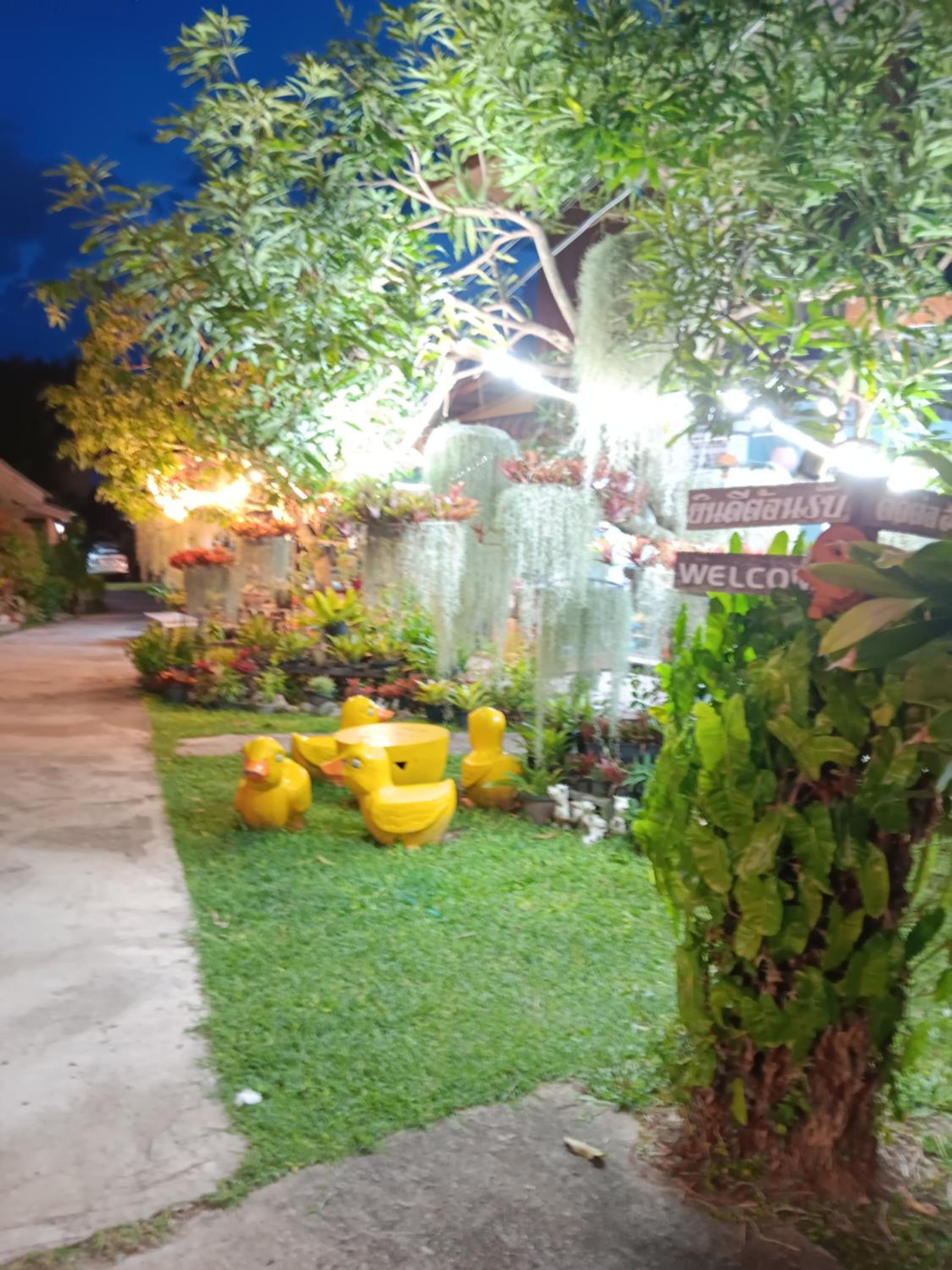Baankanoonpai(บ้านขนุนปาย)​ view 4