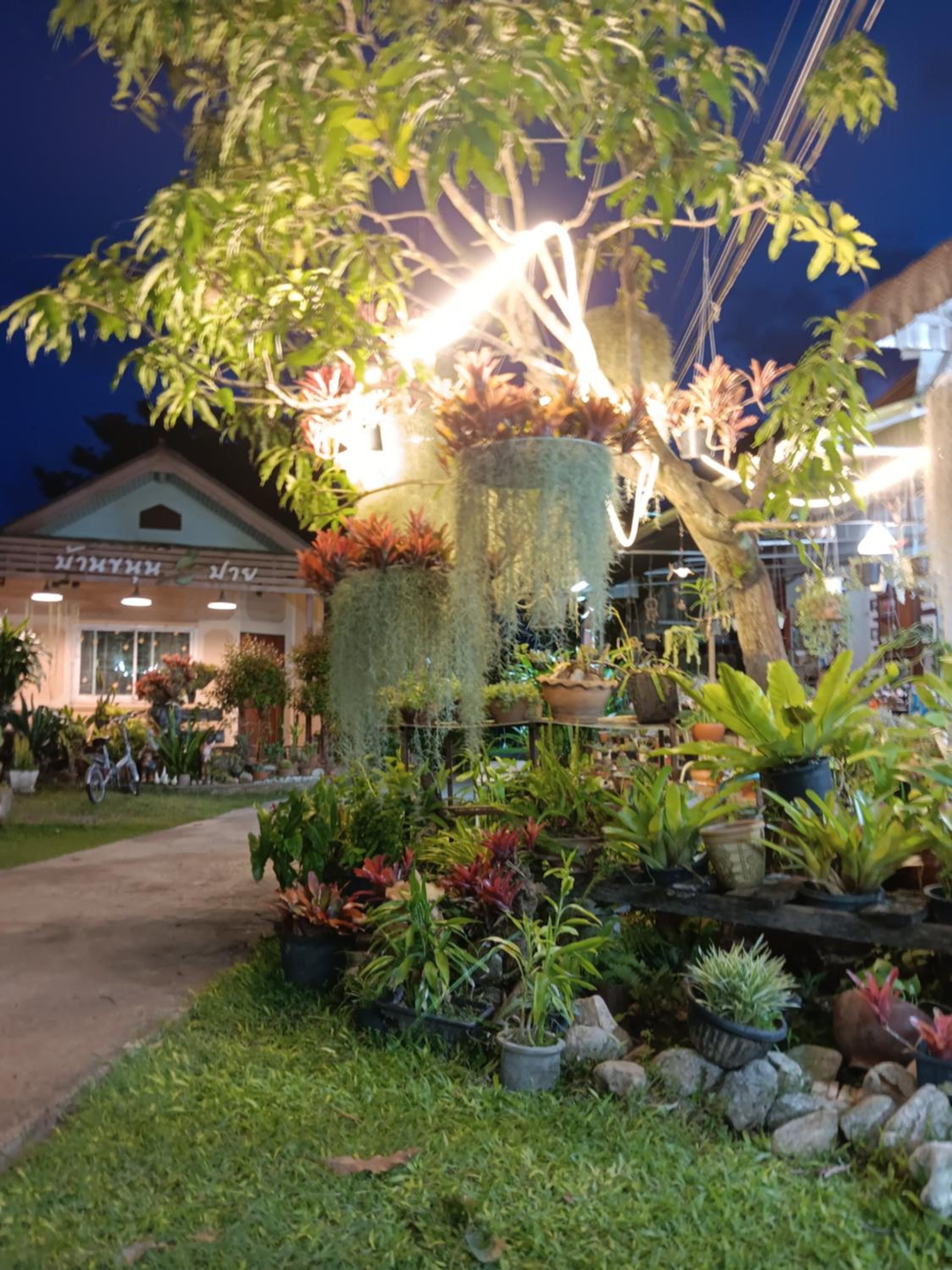 Baankanoonpai(บ้านขนุนปาย)​ view 3