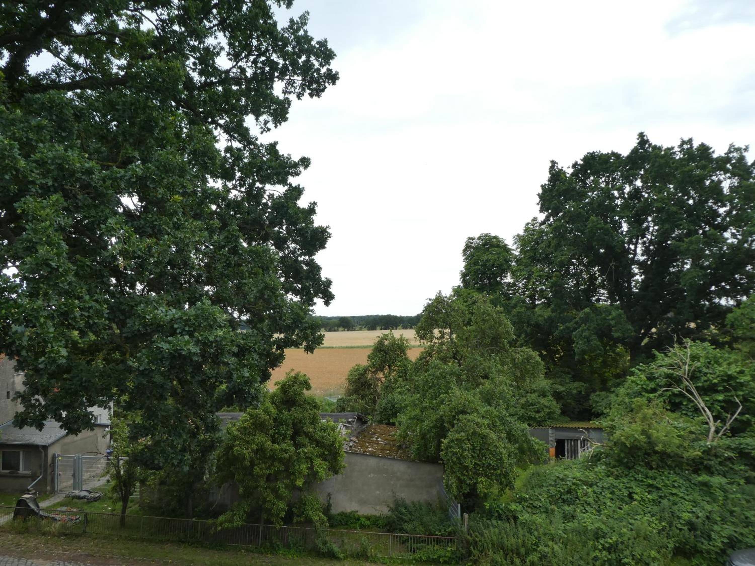 Haus unter d. Eichen am Stettiner Haff