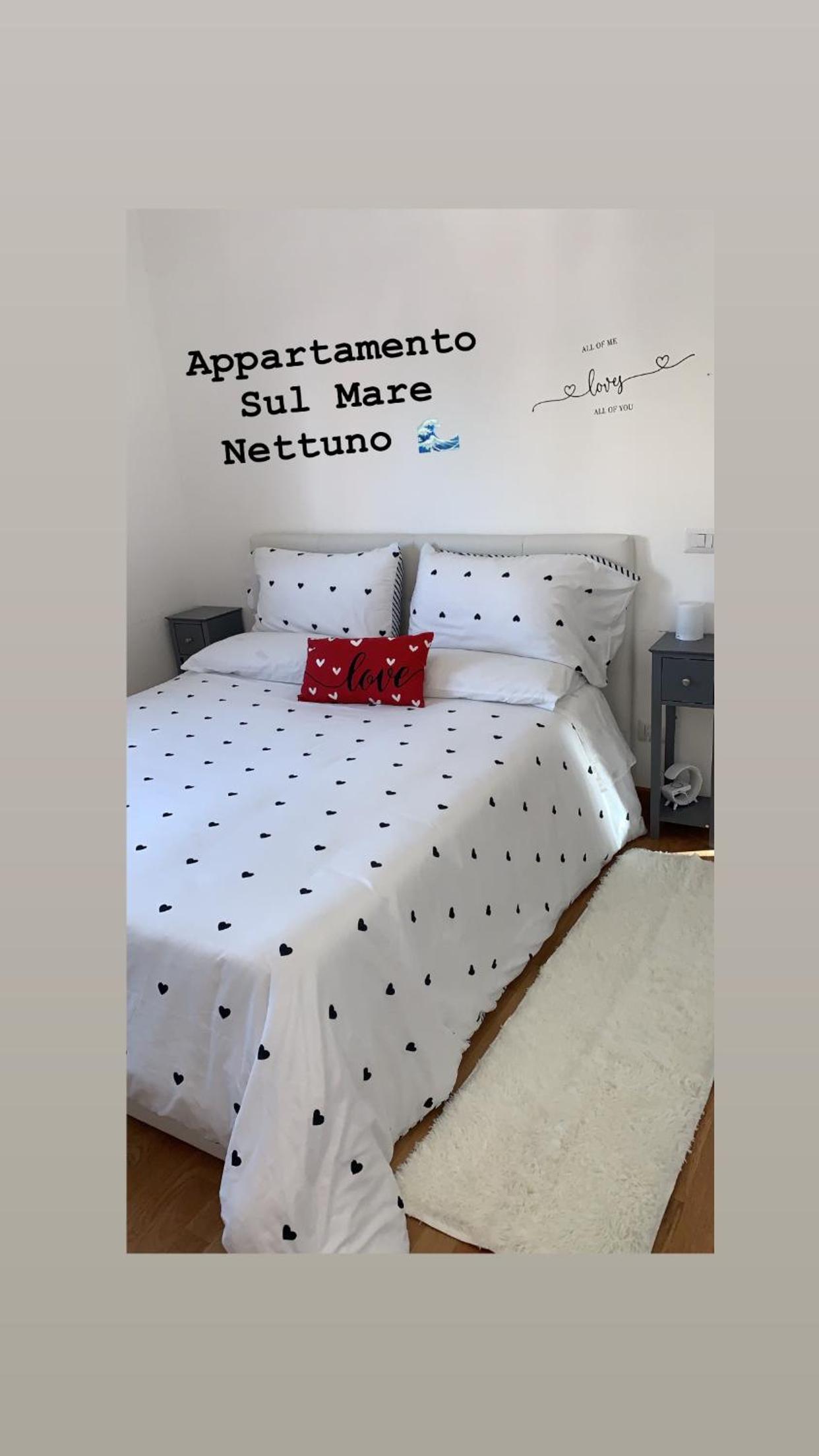 Appartamento sul mare Nettuno