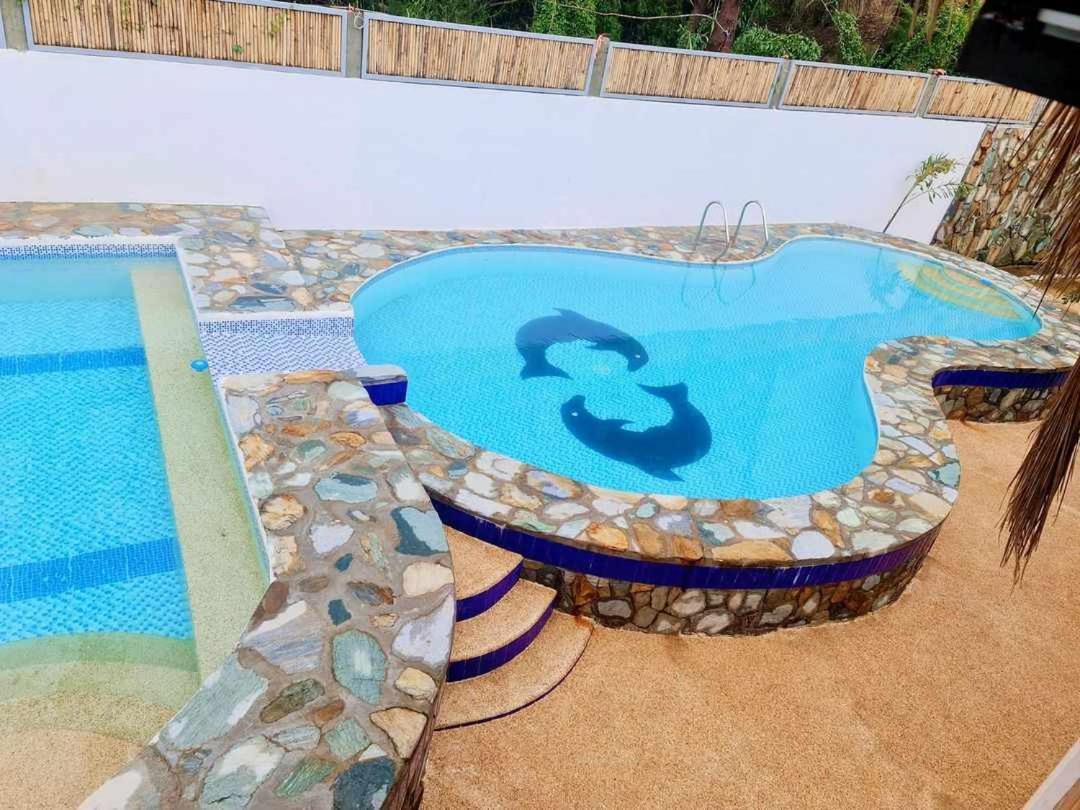 Photo 149
