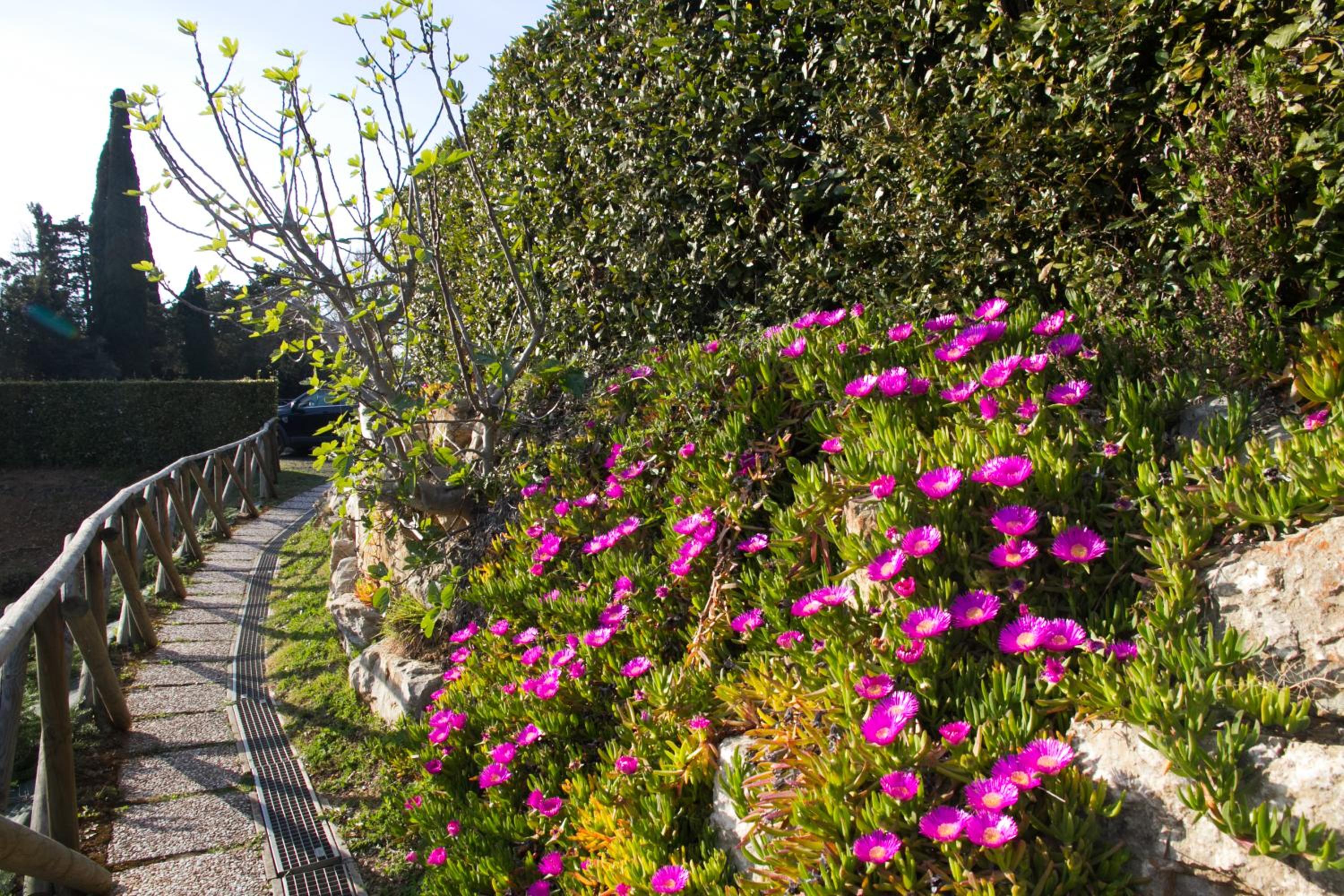 Suite San Martino - Cecina Riparbella casa vacanze