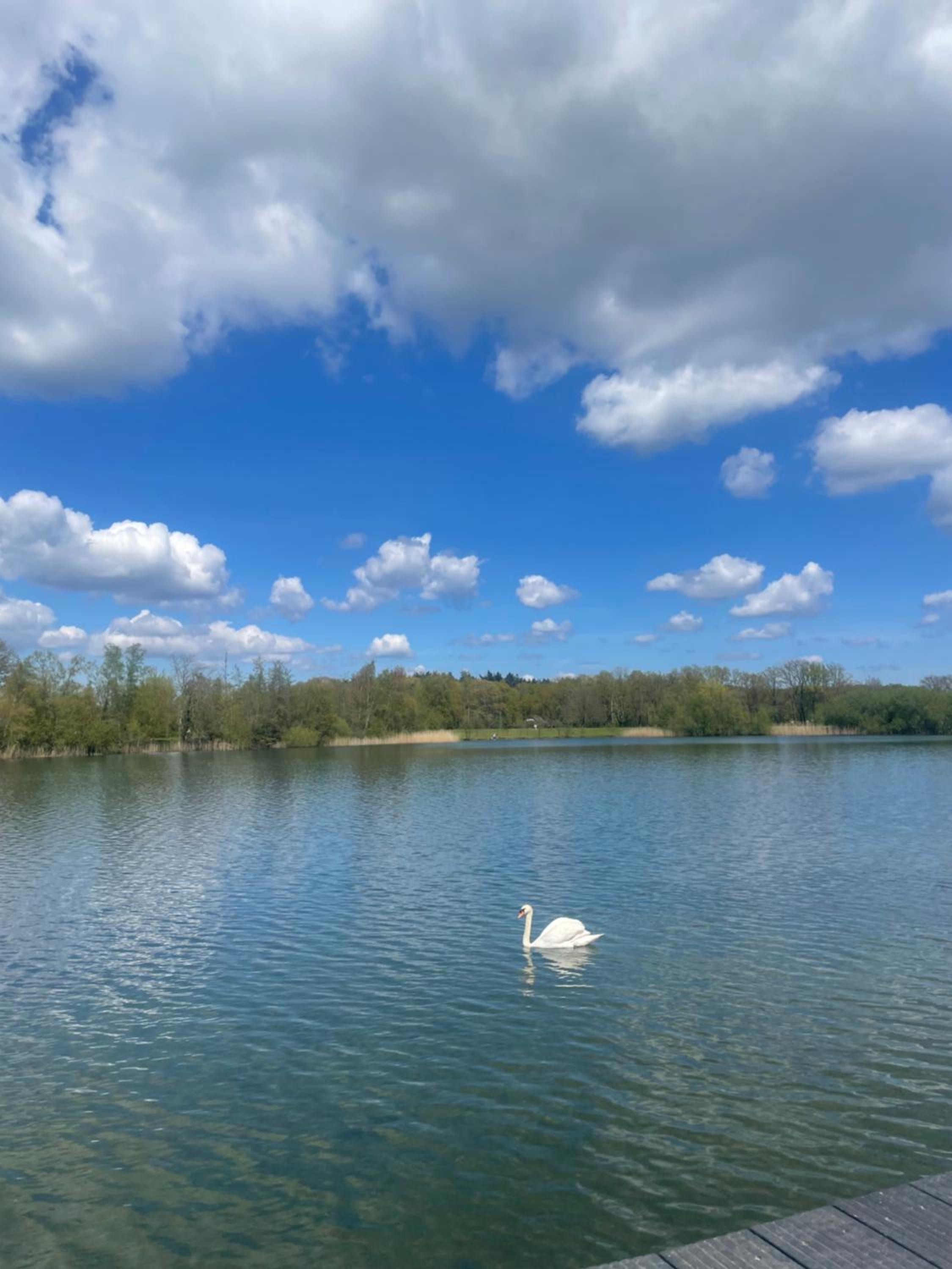 Waterside Voorthuizen view 4