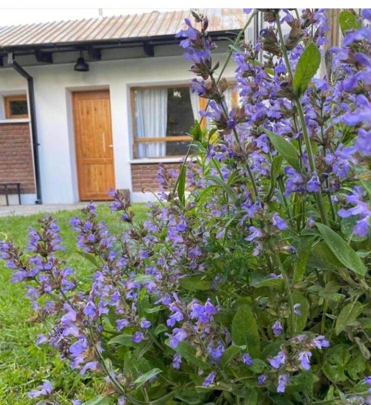 Casa Jardin Adesmia