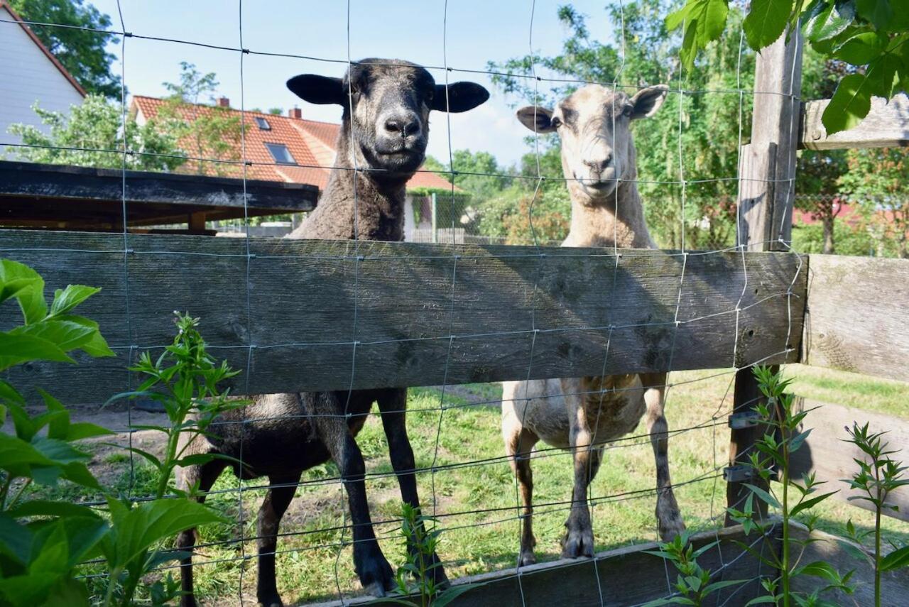 Ferienwohnung Bergblick