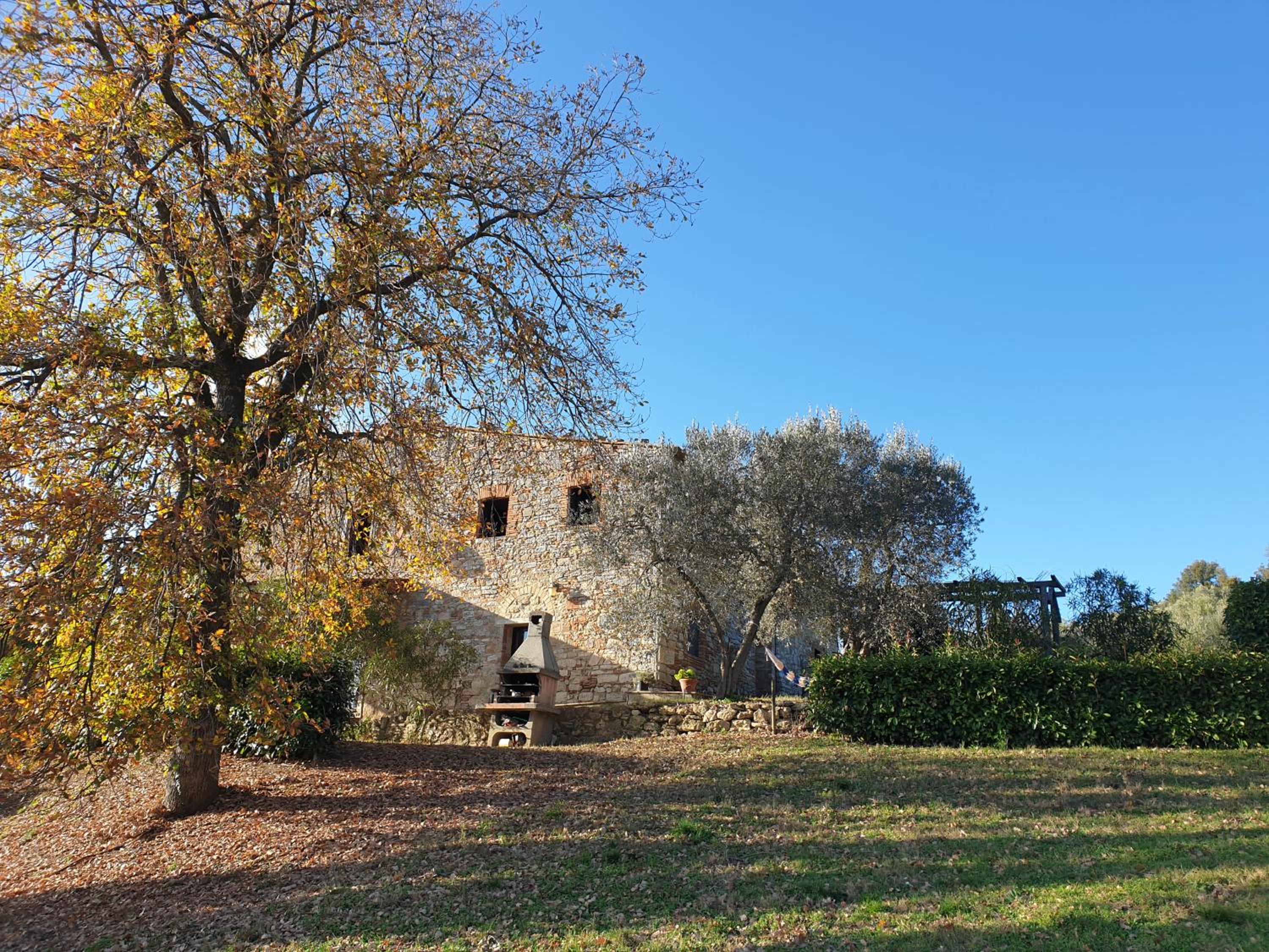 Photo 26