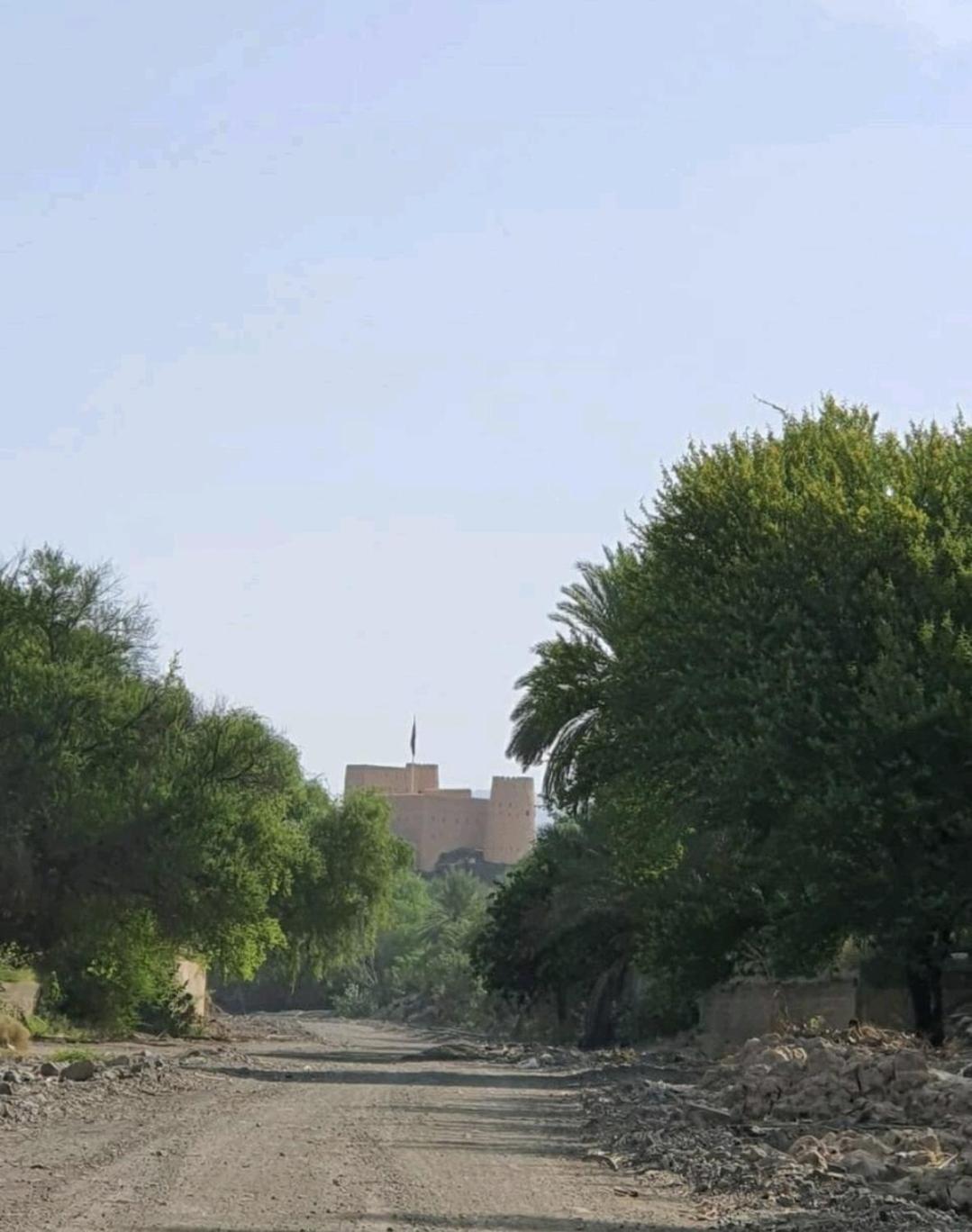 The Arabian palm Farm view 3