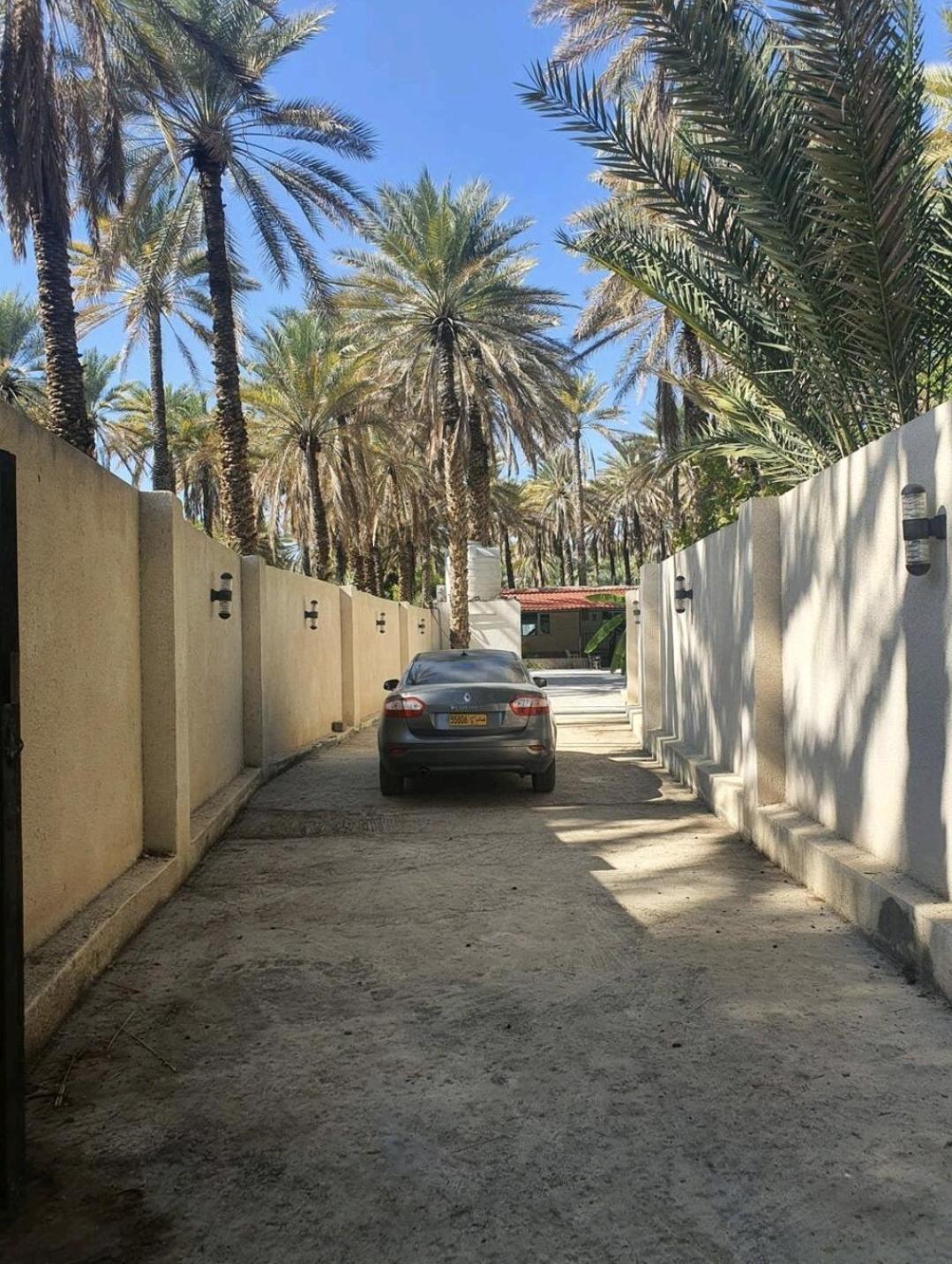 The Arabian palm Farm view 4