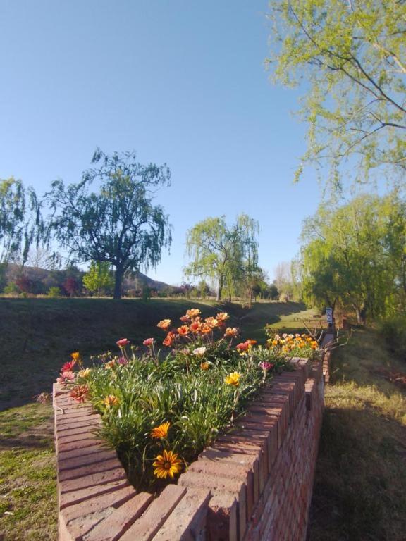 VALLE GRANDE - CASA ARAUCARIA - SOLAR DEL VALLE