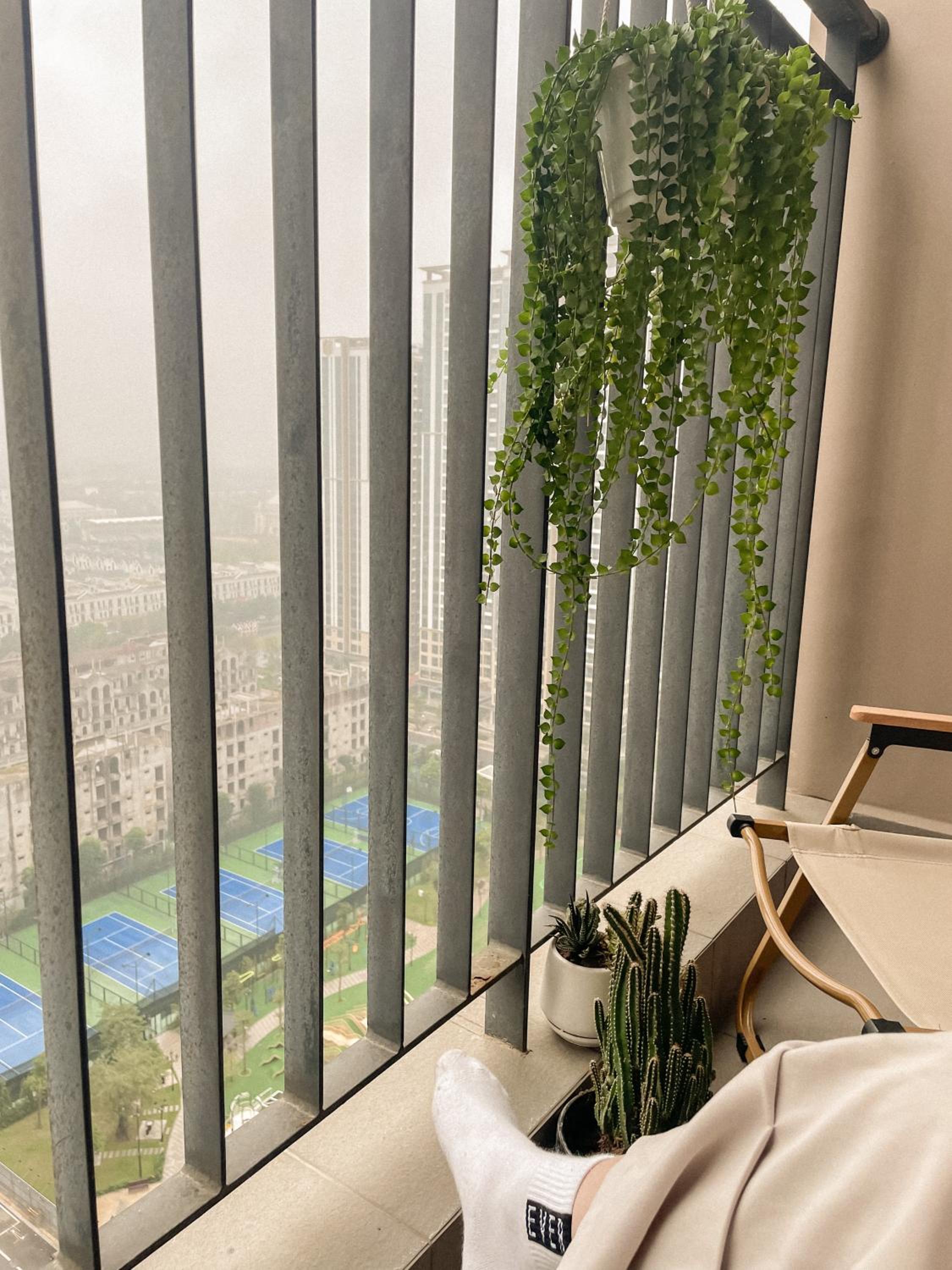 Siso Homestay - Healing Studio