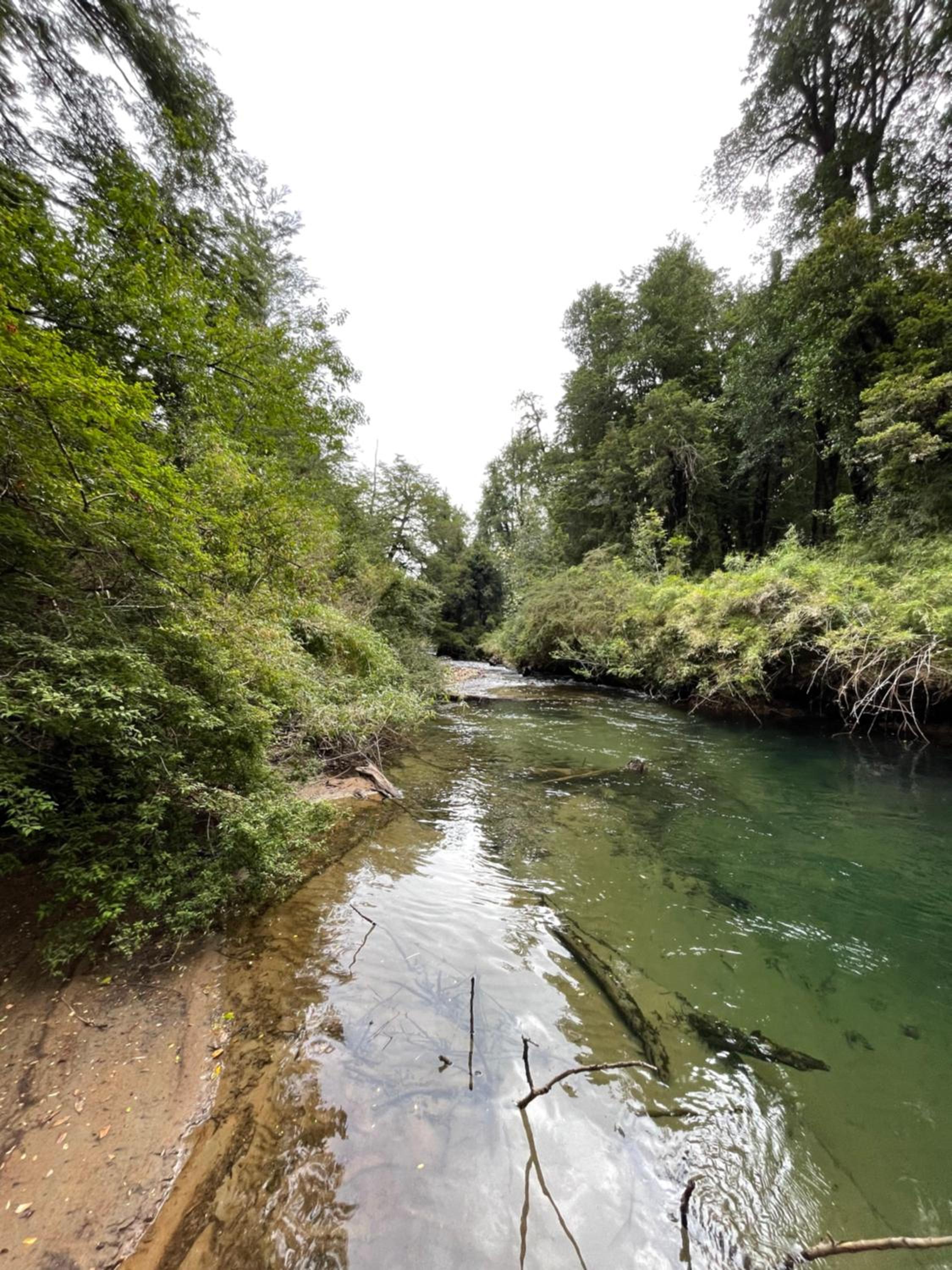 Cabañas Refugio Río Roberto