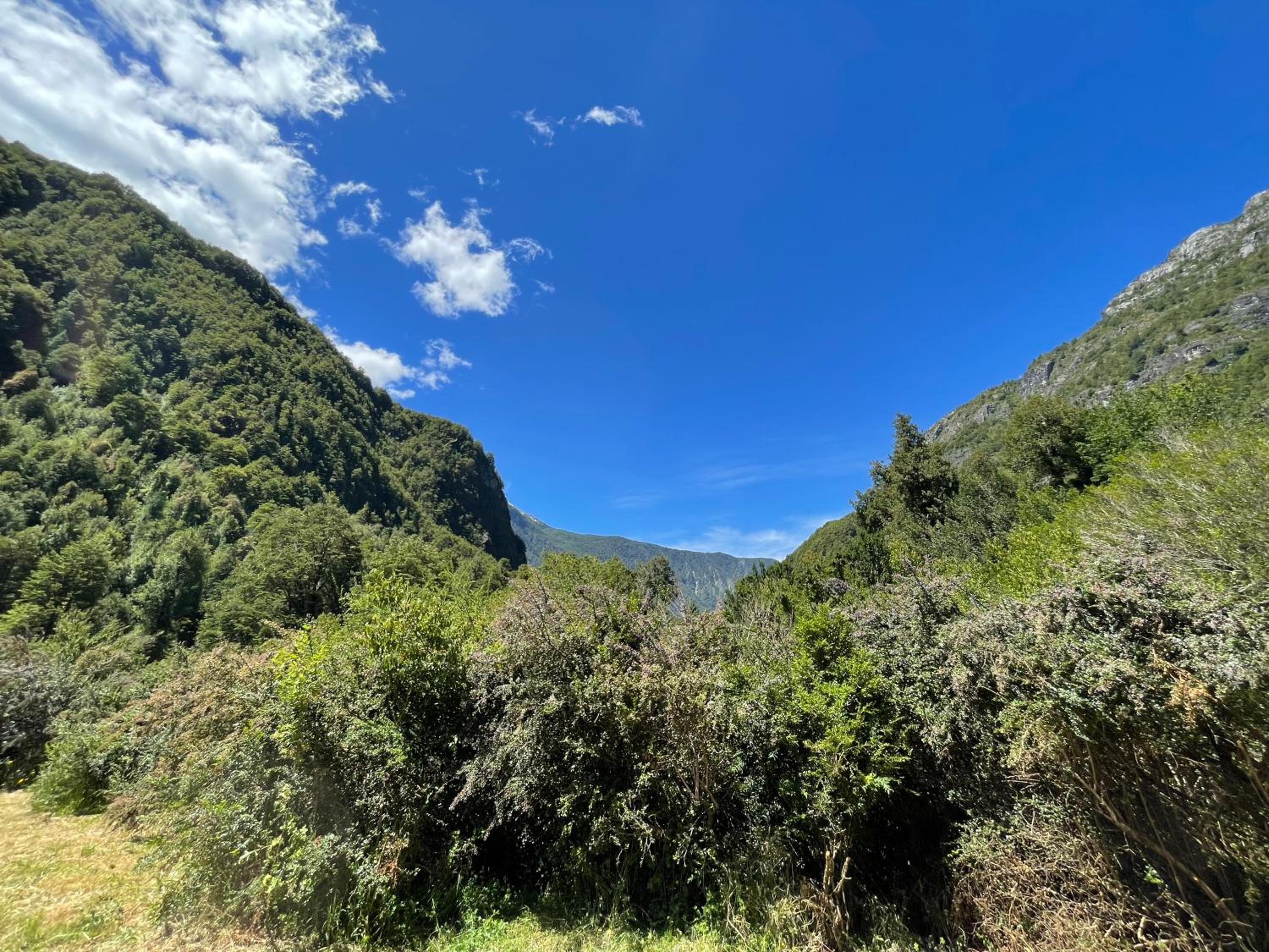 Cabañas Refugio Río Roberto