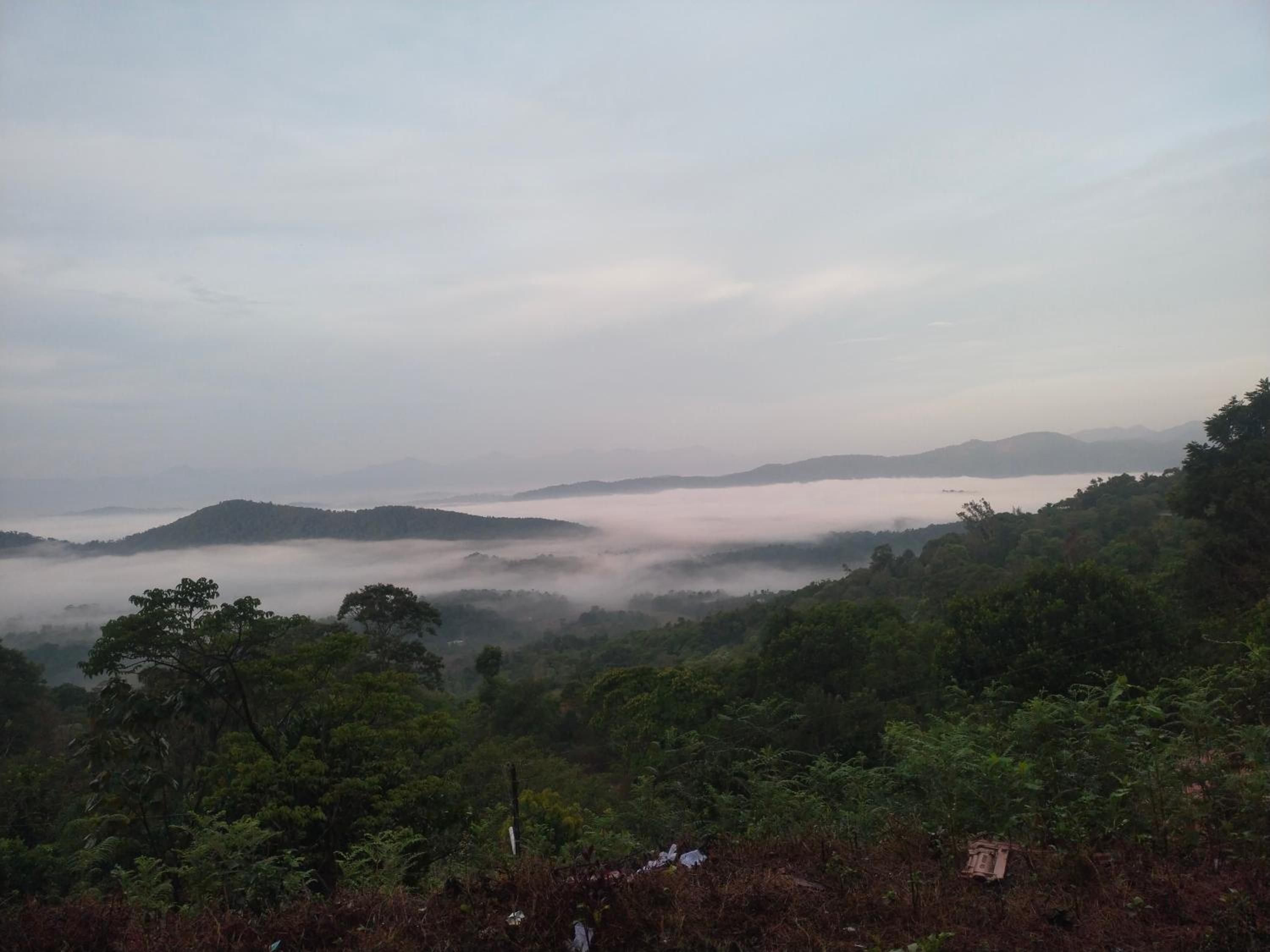 Jawa Homestay view 2