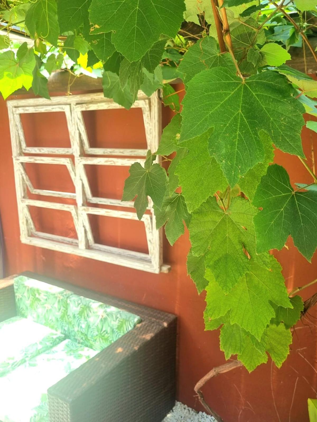 Vila Jabutis