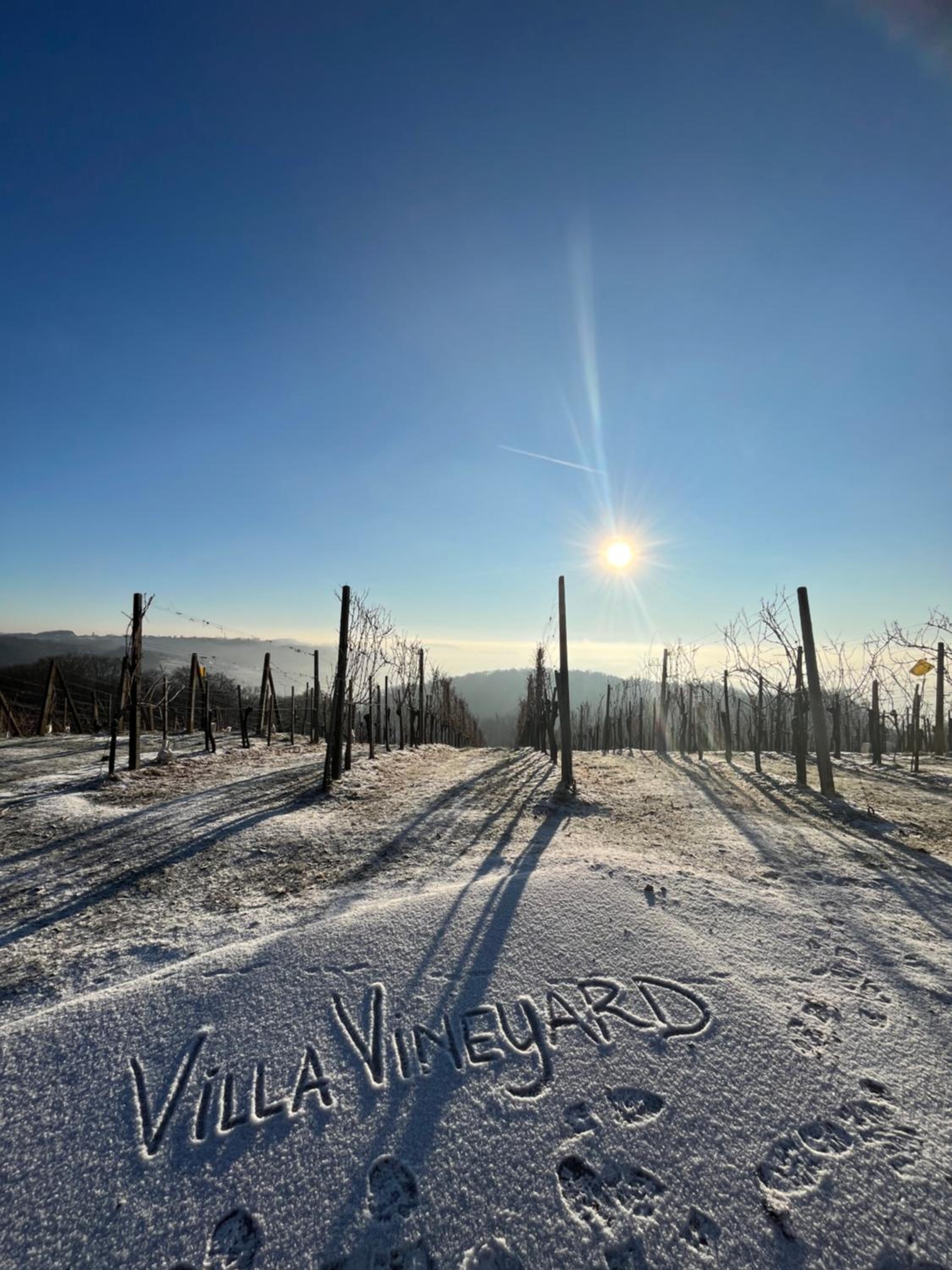 Villa VINEYARD