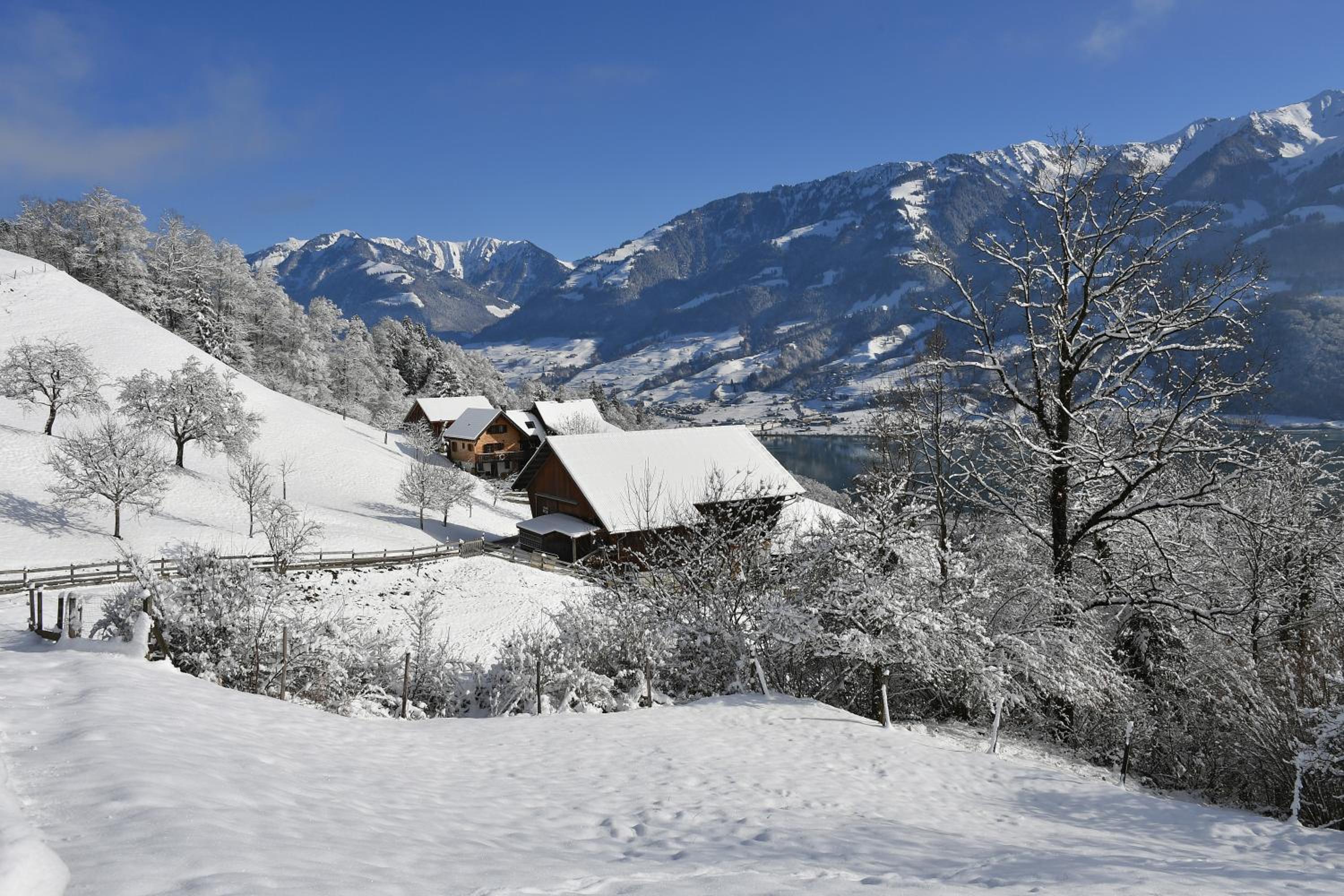 Ferienhaus auf dem Lamahof