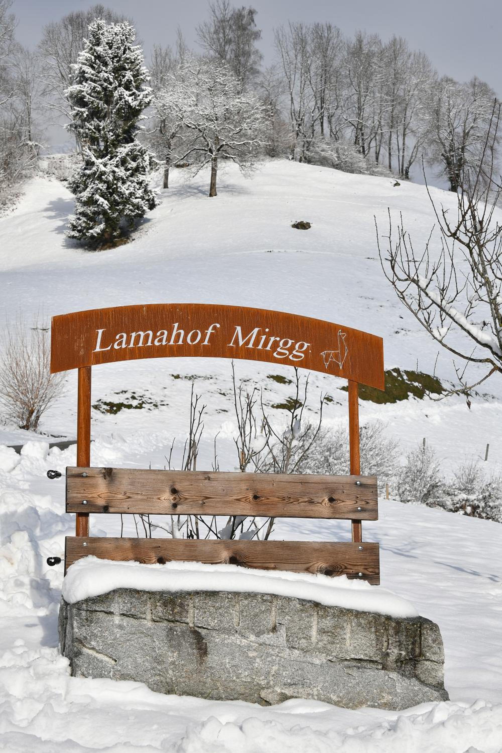 Ferienhaus auf dem Lamahof