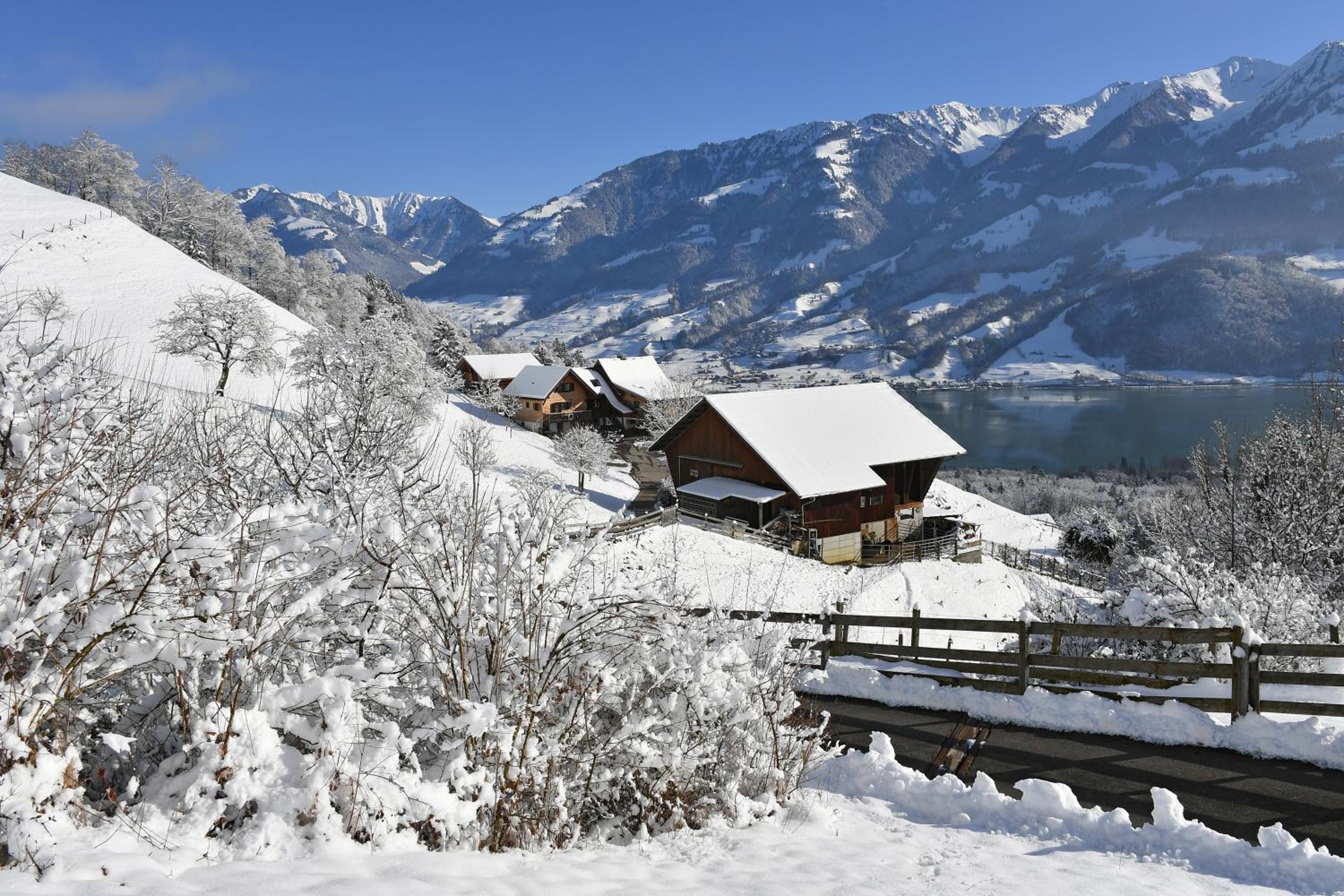 Ferienhaus auf dem Lamahof