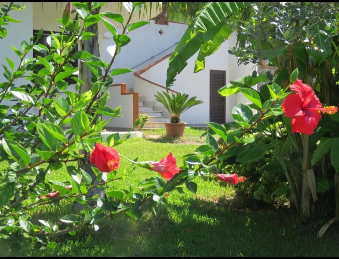 Photo 24