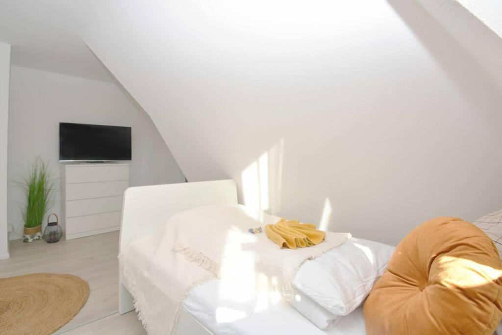 CO04-HI Apartment in Coburg - Property Image 3