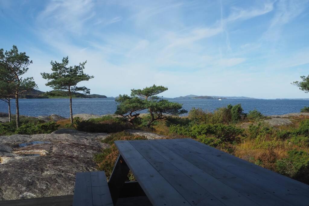 Magical Seaview and close to Preikestolen