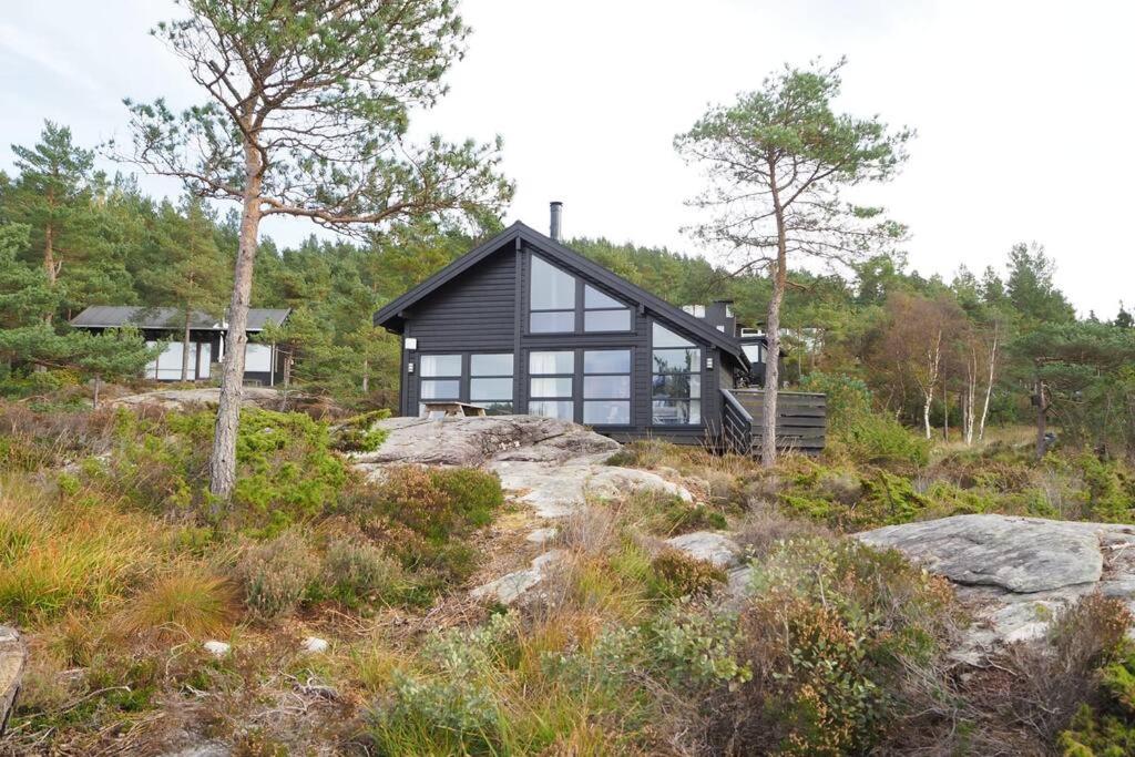 Magical Seaview and close to Preikestolen