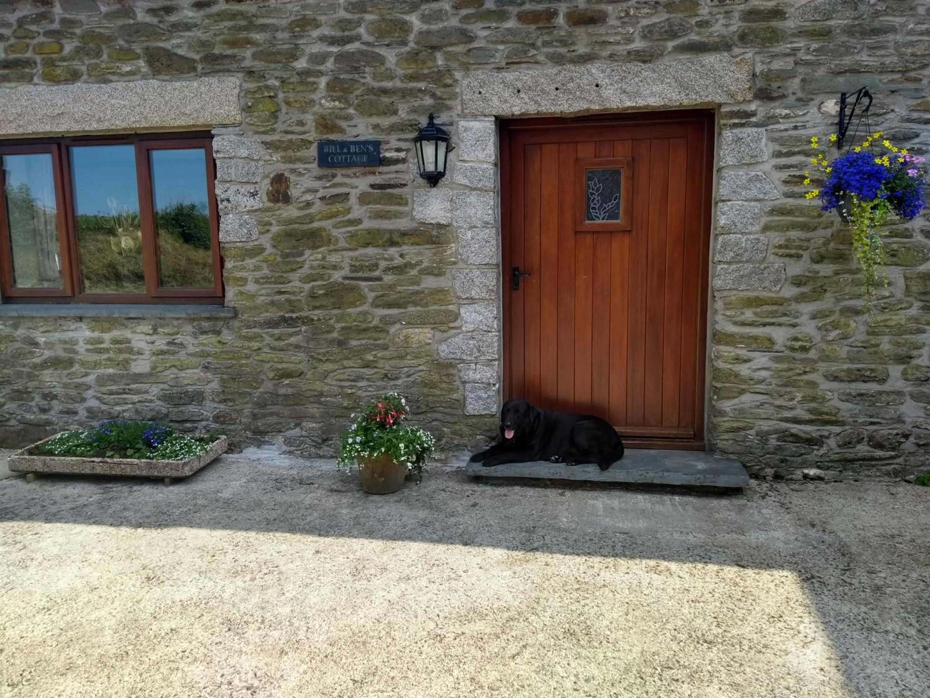 Fentrigan Manor Farm & Holiday Cottages