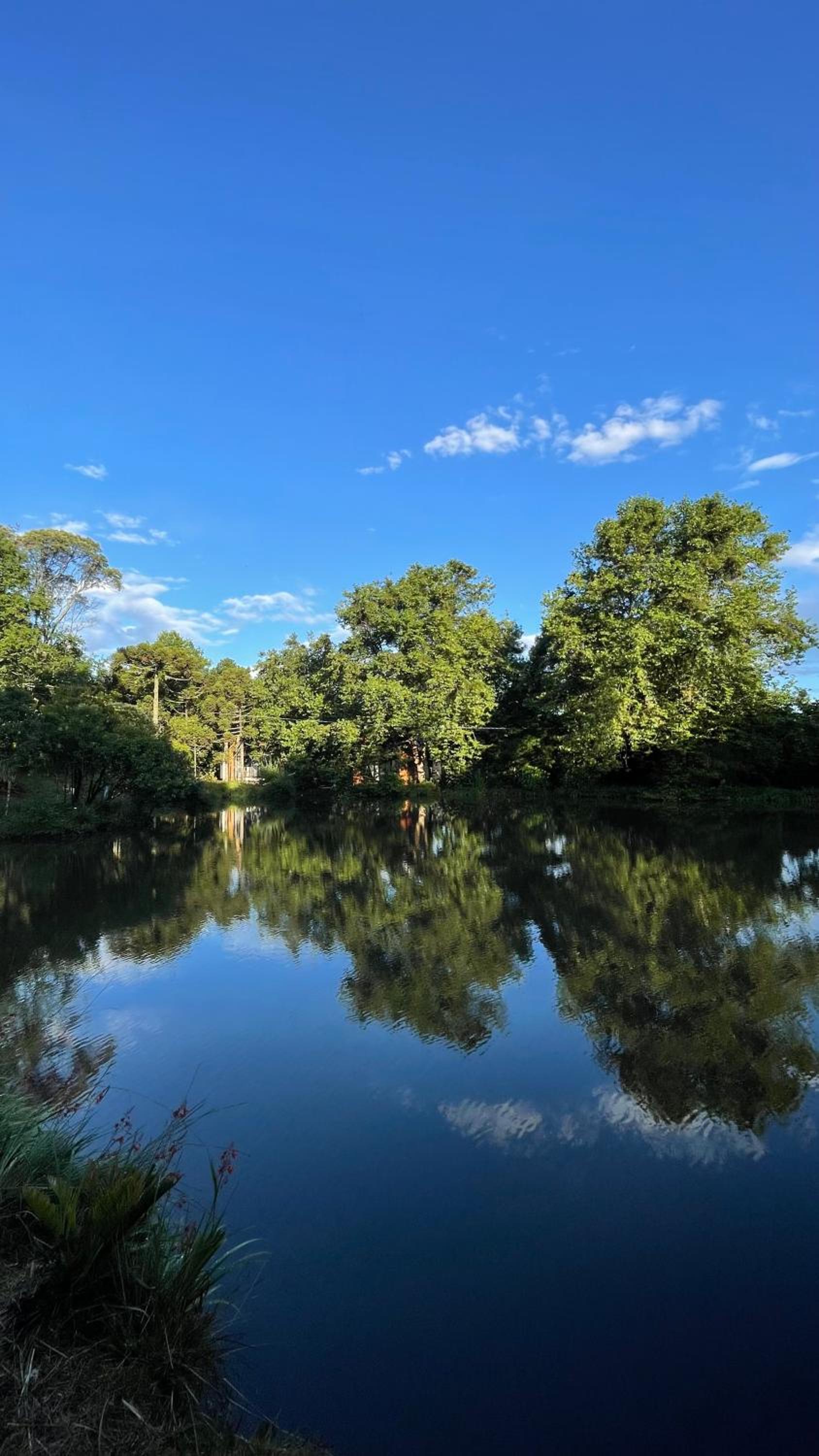 Cabanas Jardim de Tereza