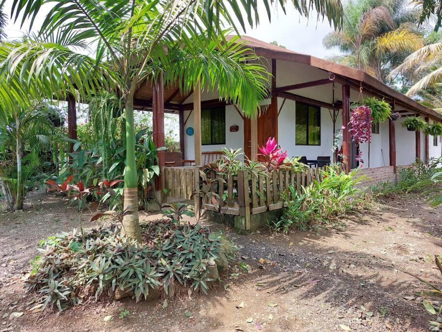 Casa SAMI Acepto Mascota