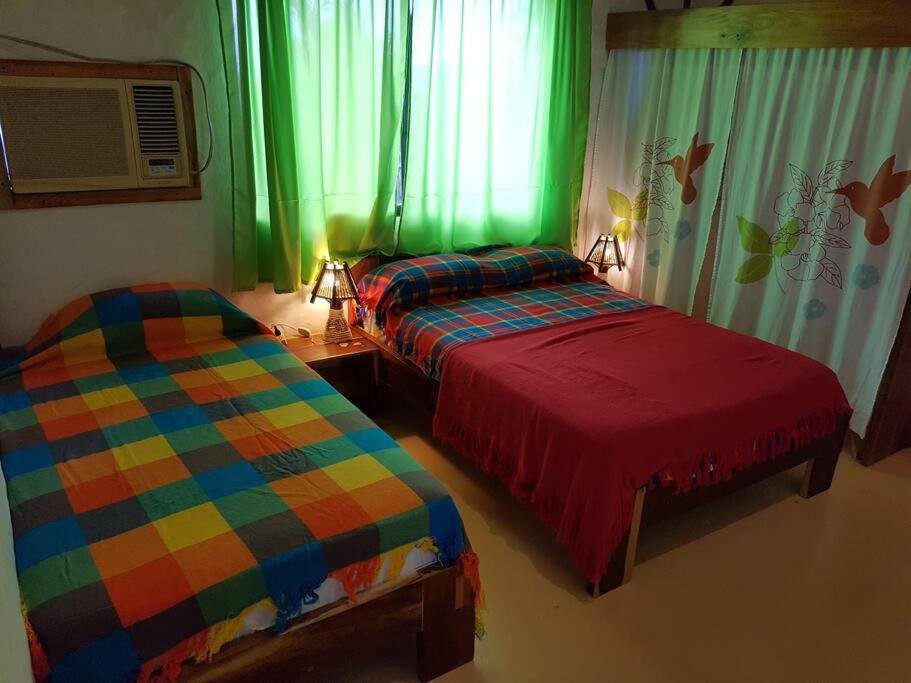 Casa SAMI Acepto Mascota