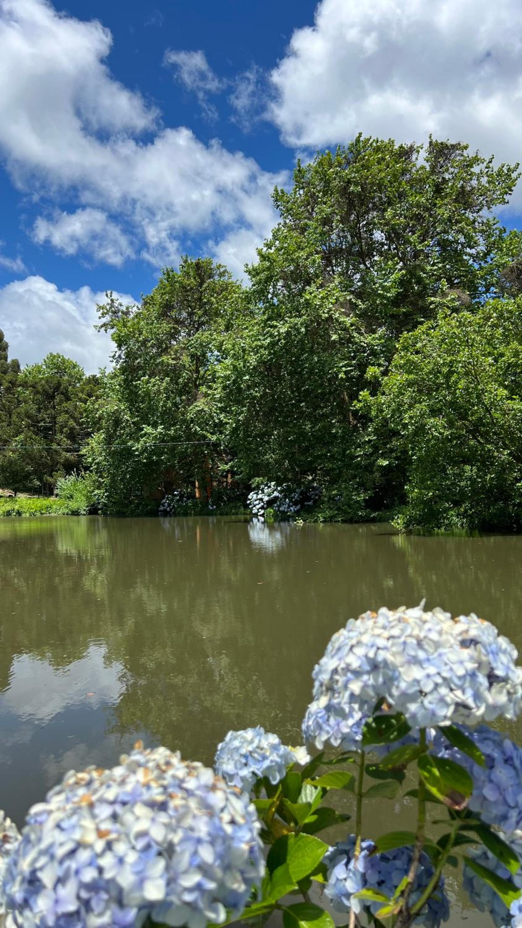 Cabanas Jardim de Tereza