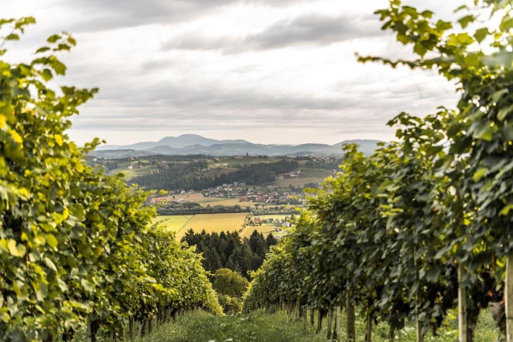 Genuss Appartement am Familien Weingut