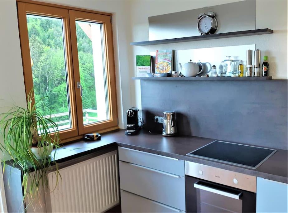 Genuss Appartement am Familien Weingut