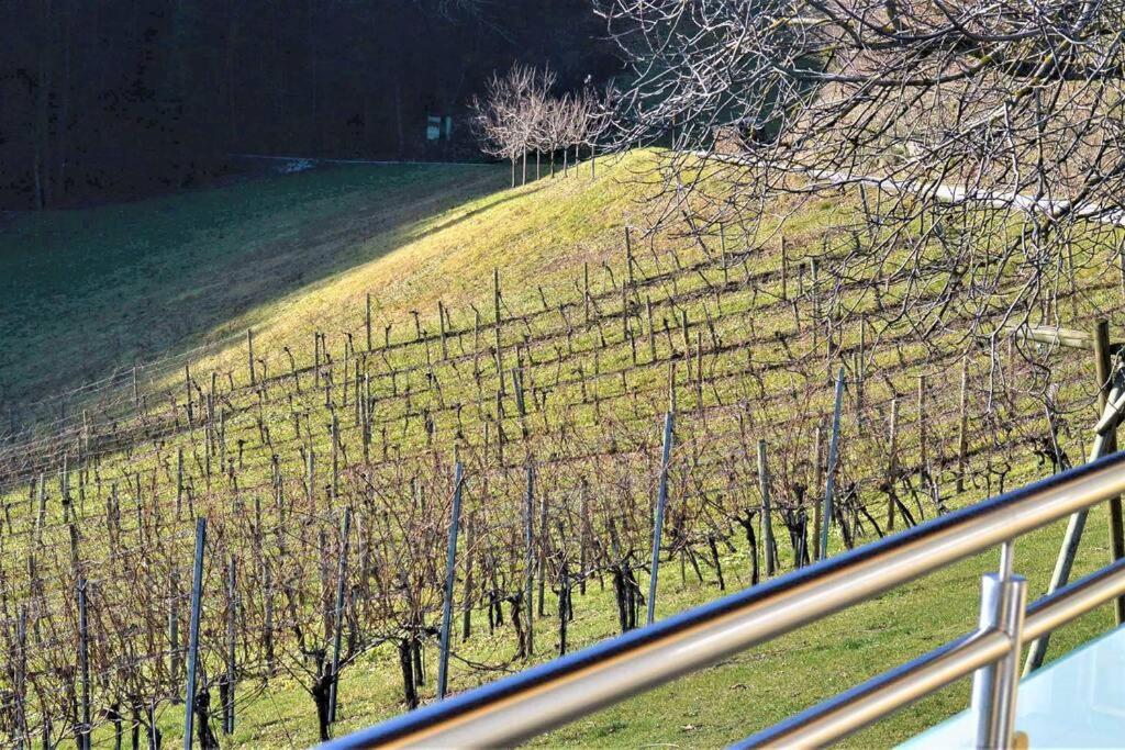 Genuss Appartement am Familien Weingut