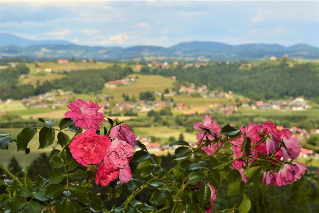 Genuss Appartement am Familien Weingut