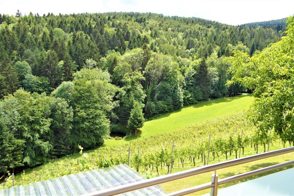 Genuss Appartement am Familien Weingut