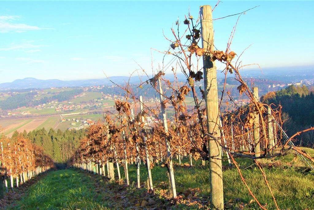 Genuss Appartement am Familien Weingut