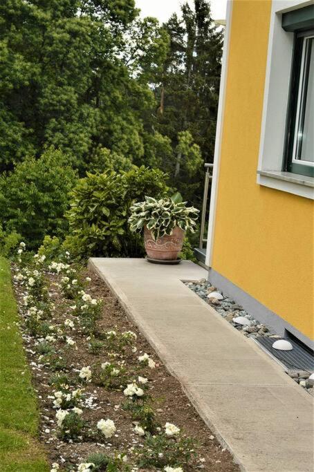 Genuss Appartement am Familien Weingut