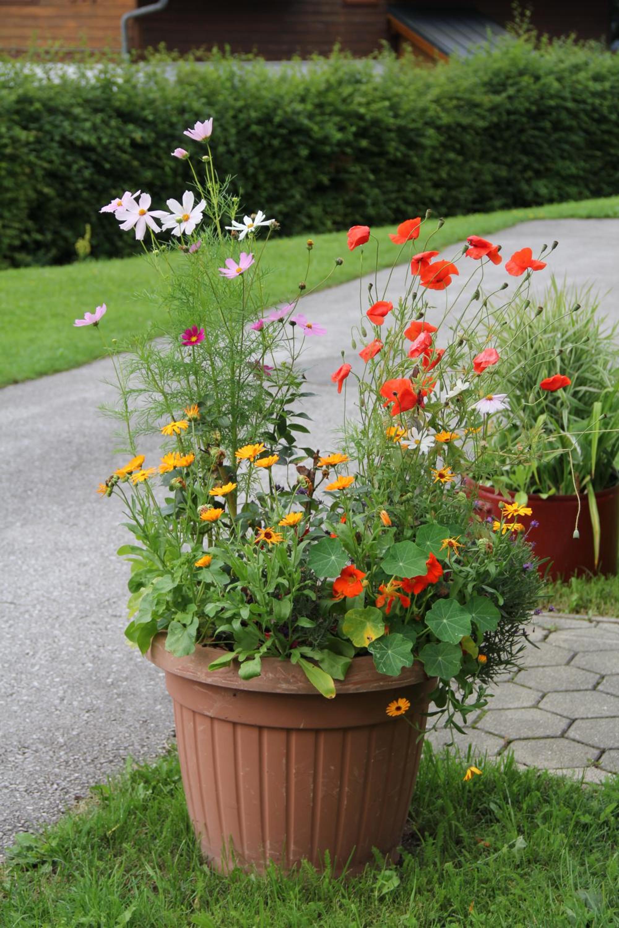 Ferienwohnung Grimmingblick - Auszeit vom Alltag view 5