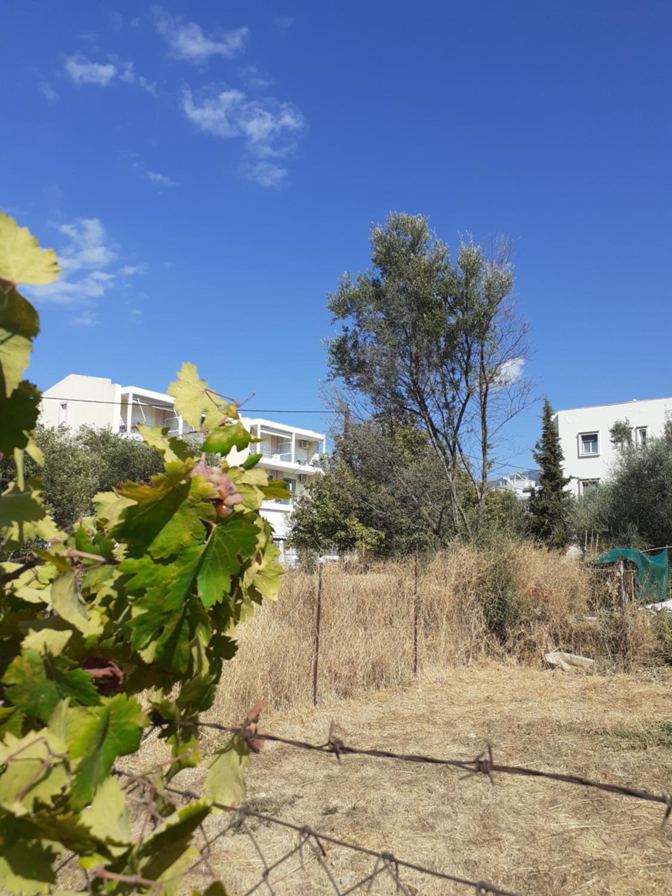 a comfortable studio near the University photo 3