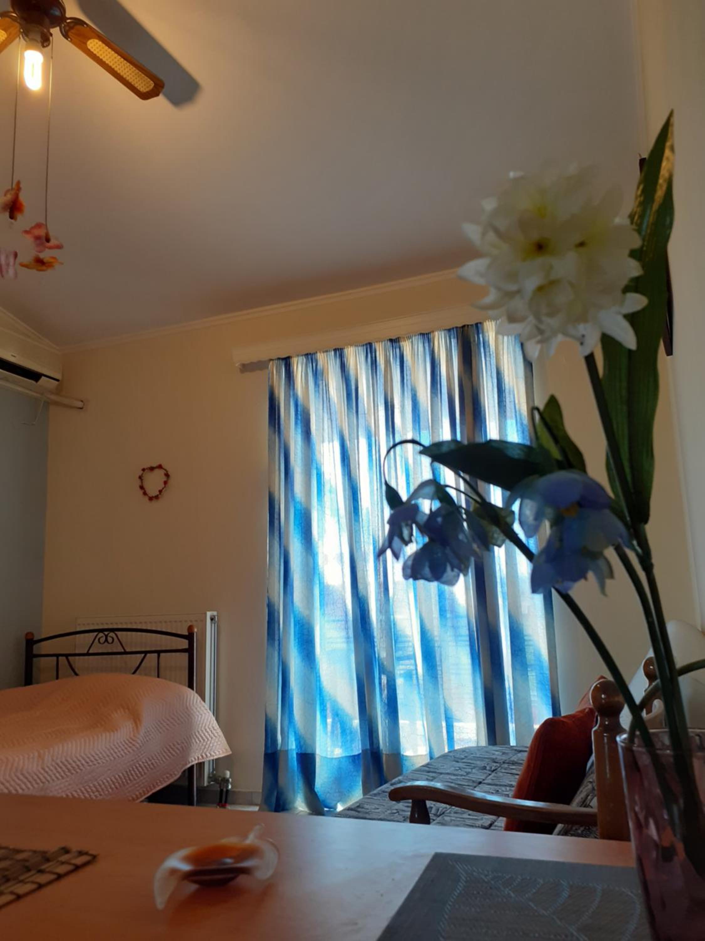 a comfortable studio near the University
