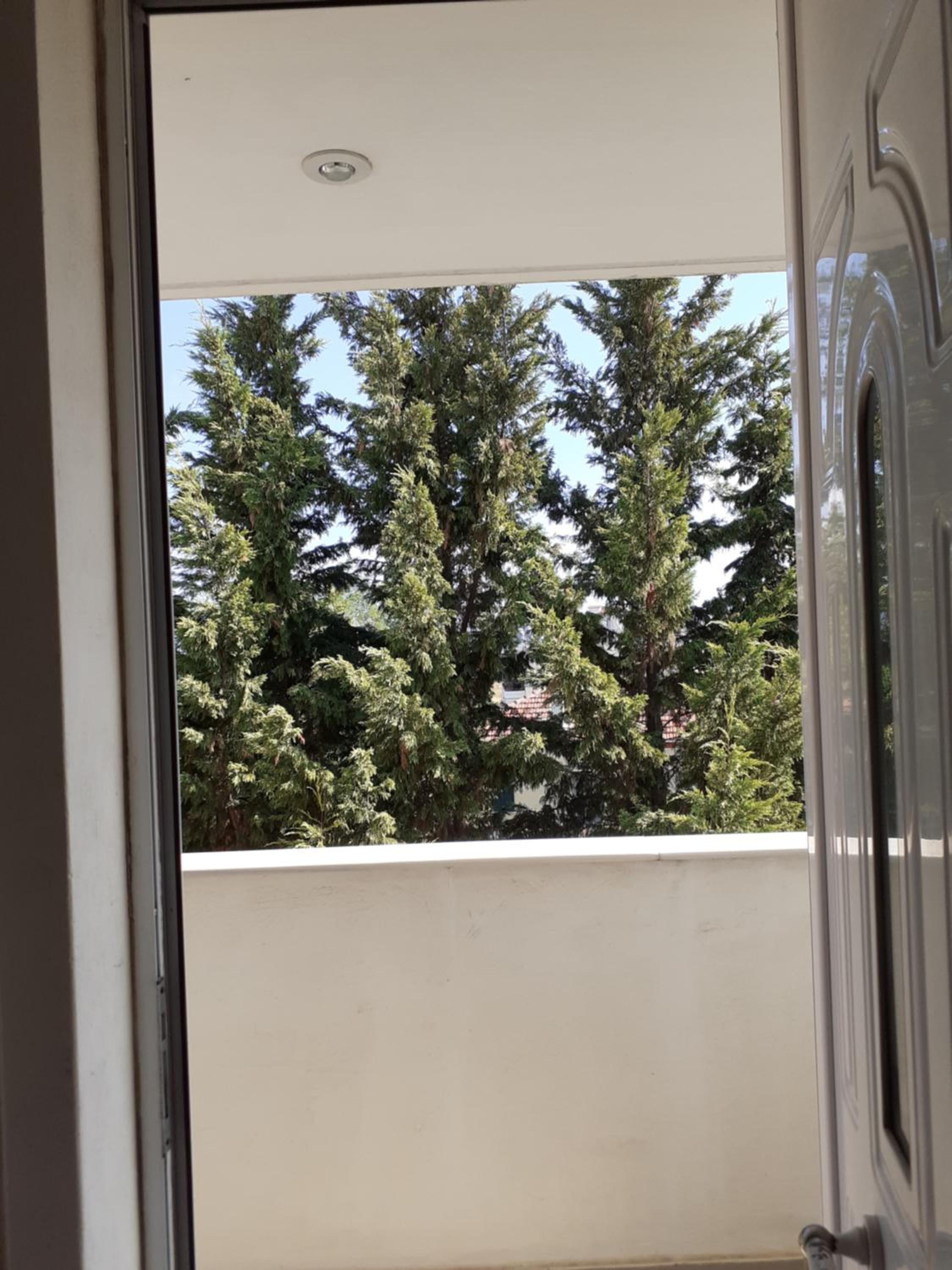 a comfortable studio near the University