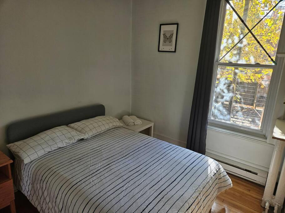 Mona Bella Beautiful Home In Mile End