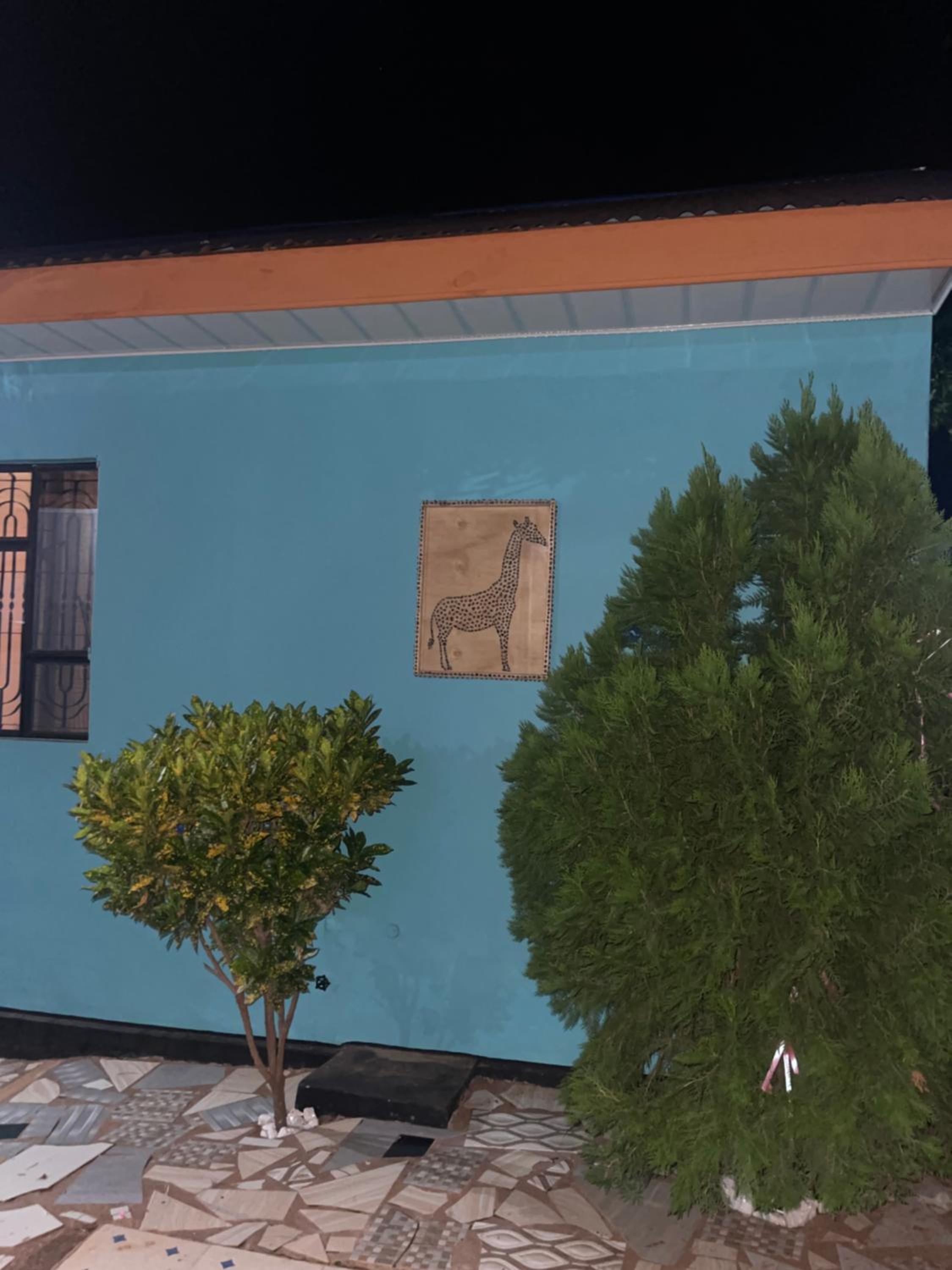 Photo 6